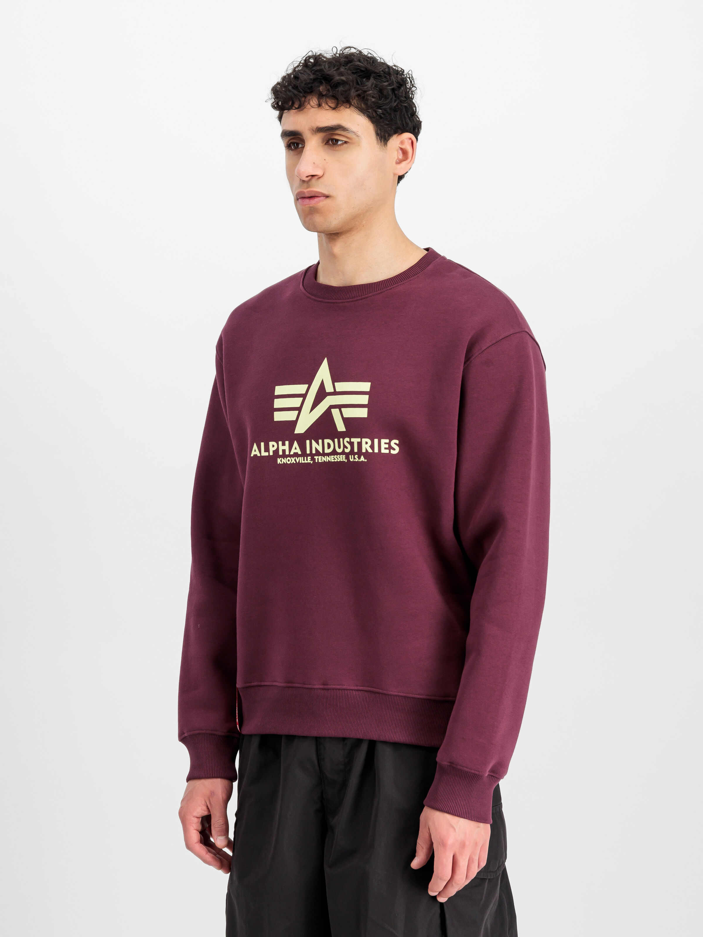 Basic Big Logo Sweatshirt dark cherry 178302_608_2_model_00002_166311