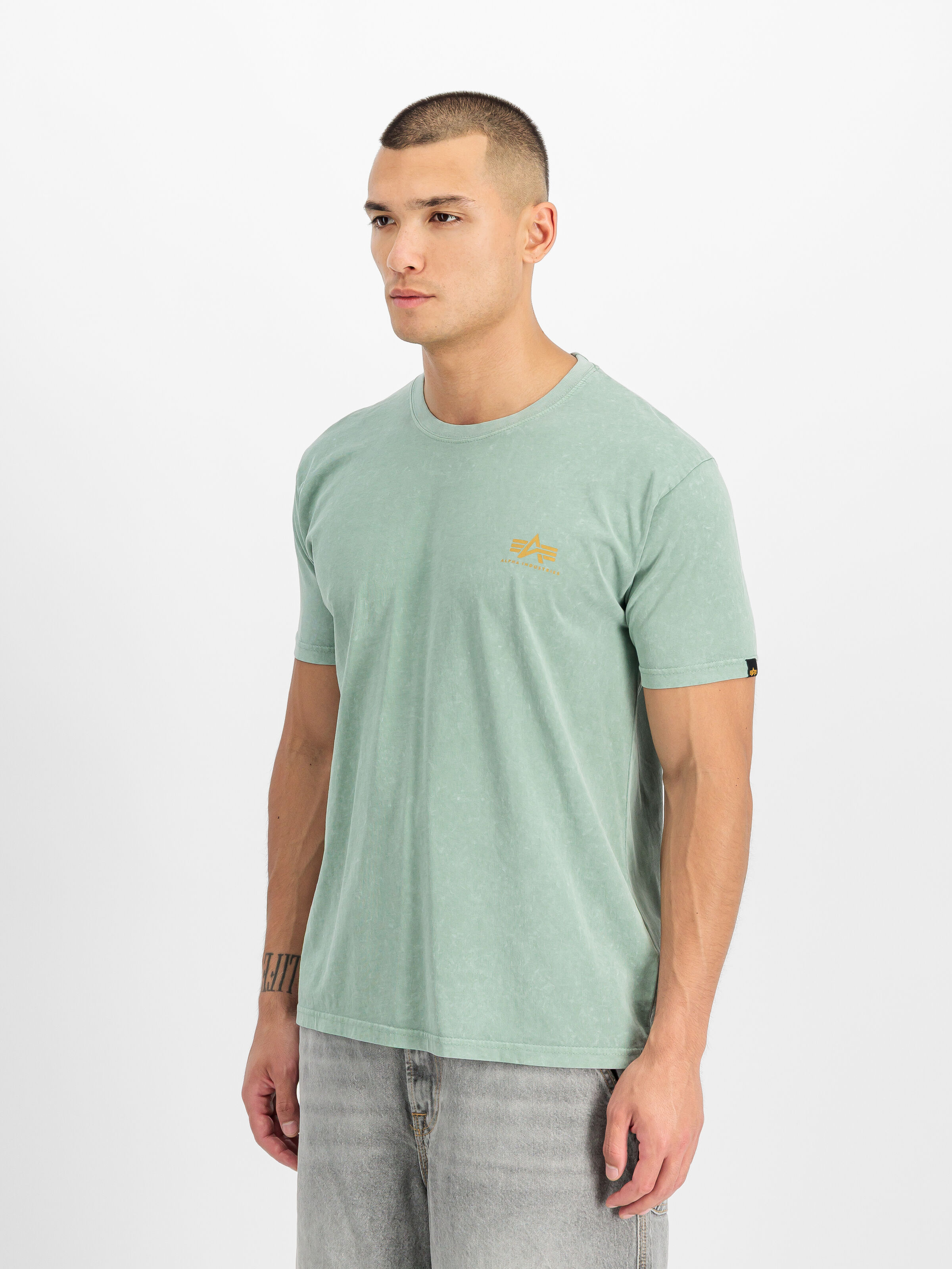 Alpha Legend T-Shirt frost green 266520_30_2_model_00002_215388