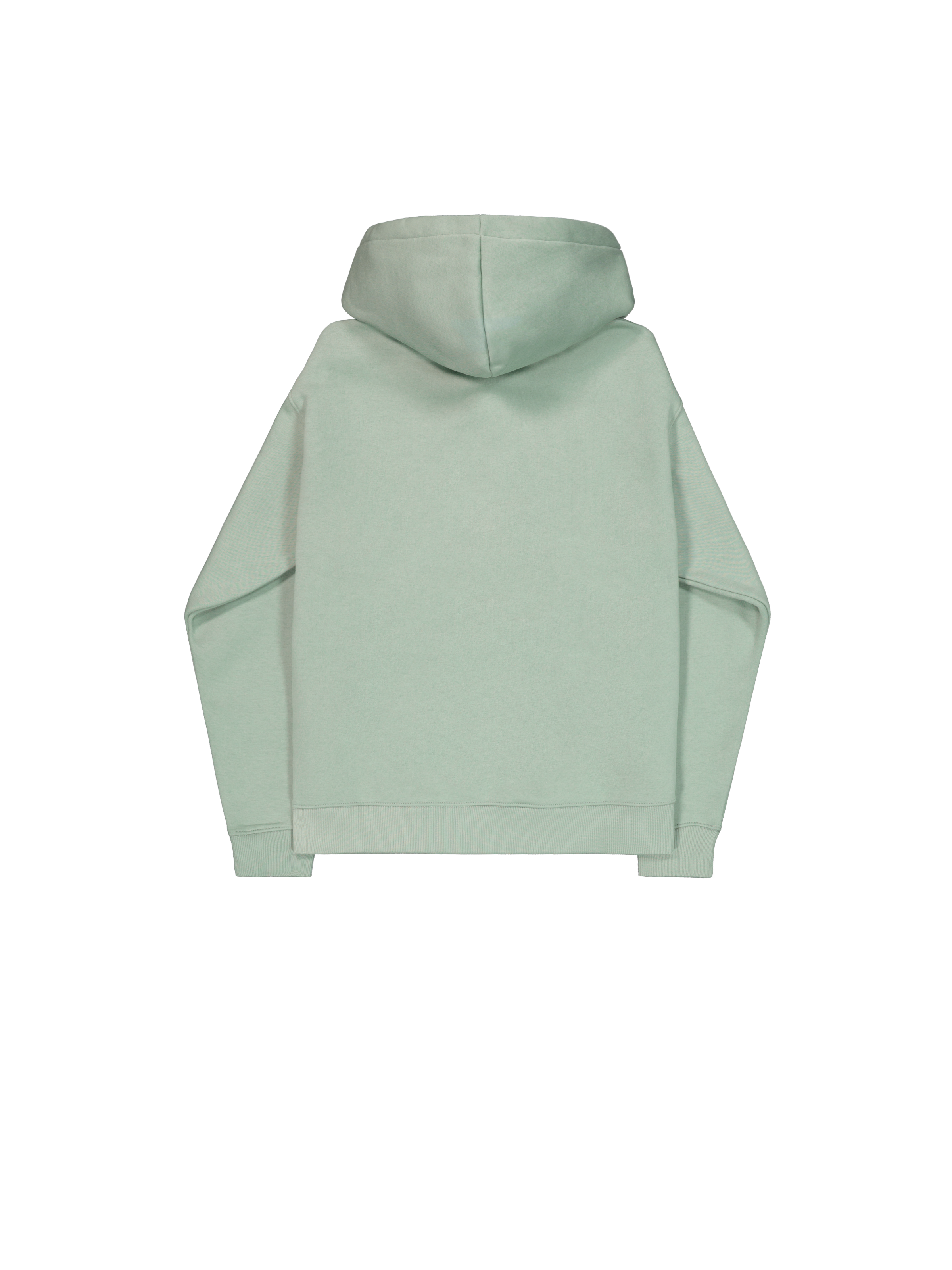 DTM Alpha Hoodie frost green 266349_30_1_flatlay_00002_191975