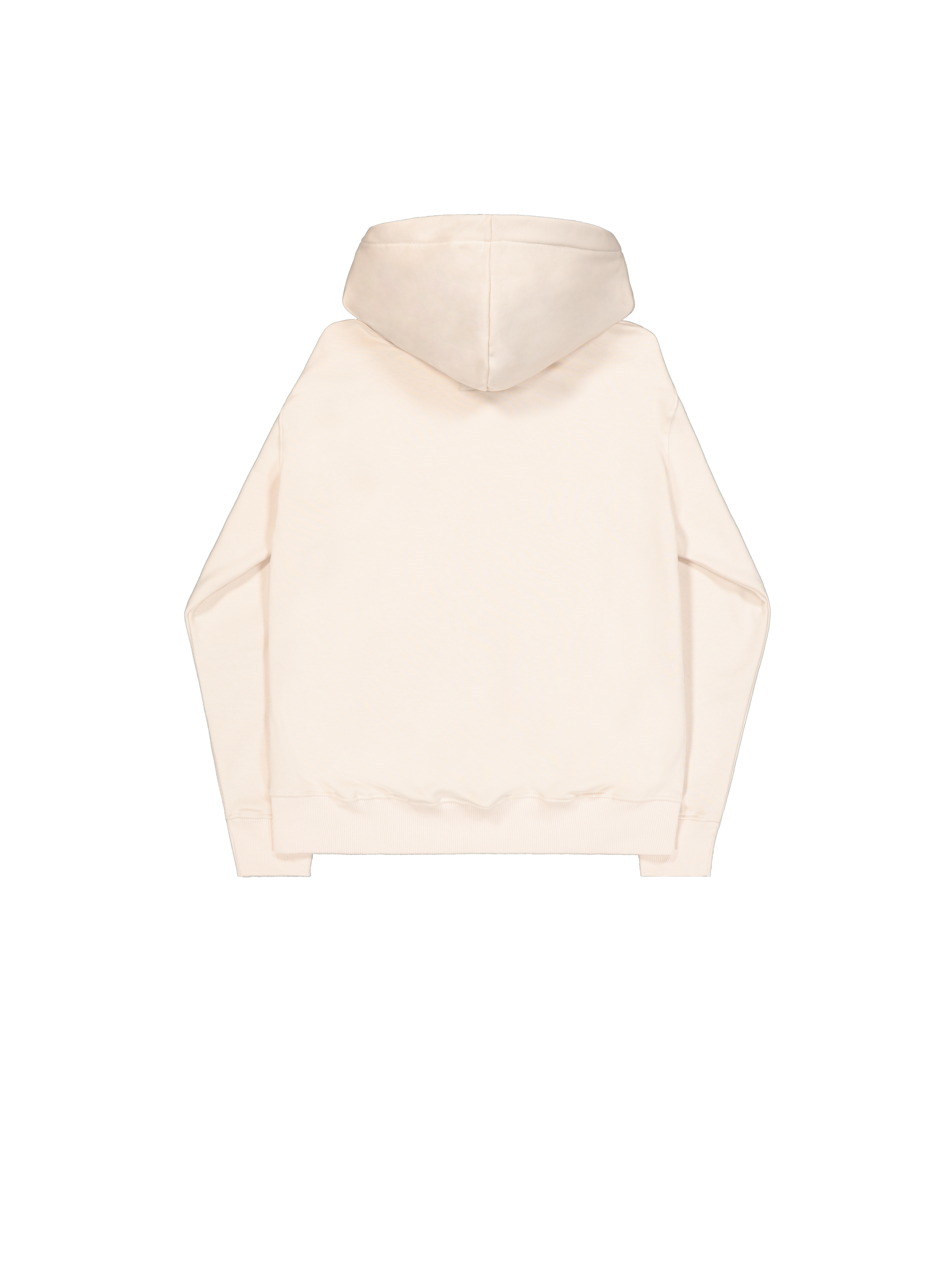 Alpha Puff Print Hoodie jet stream white 146338_578_1_flatlay_00002_221502