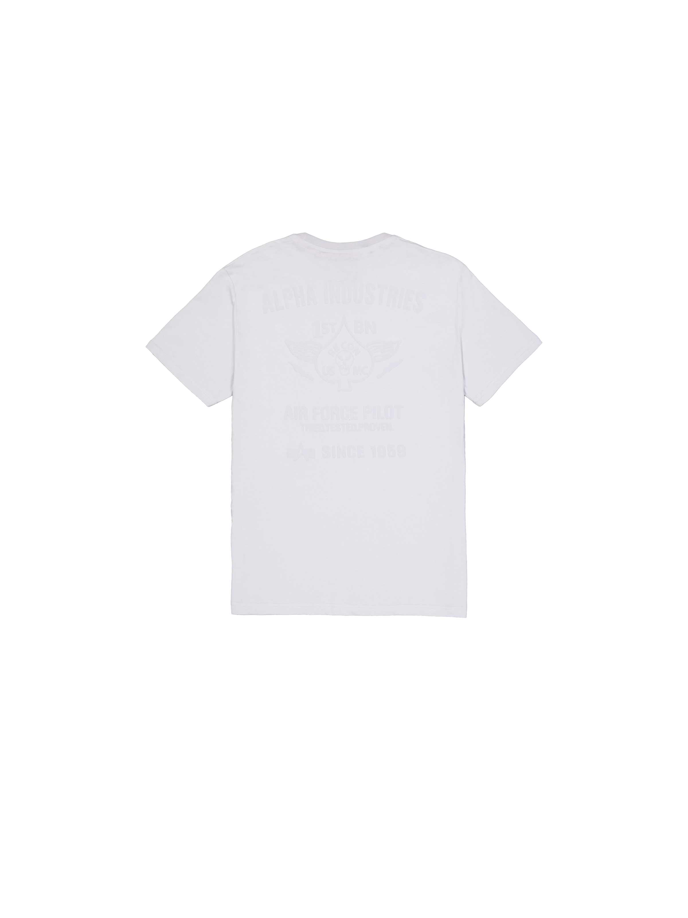 Air Force Pilot T-Shirt pastel grey 138505_666_1_flatlay_00002_125896