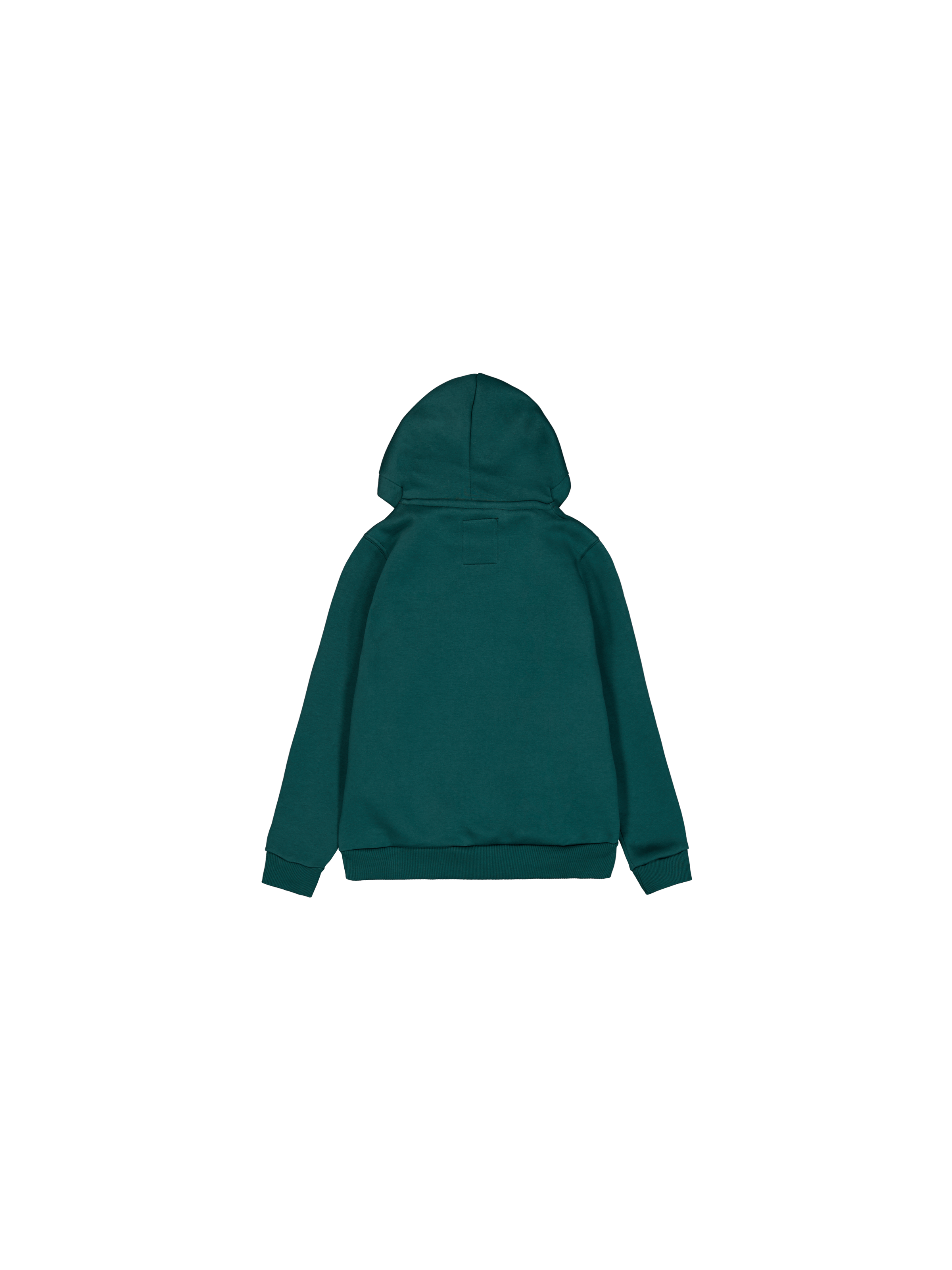 Basic Big Logo Hoodie Kids Force Green 196701_720_1_flatlay_00002_96934