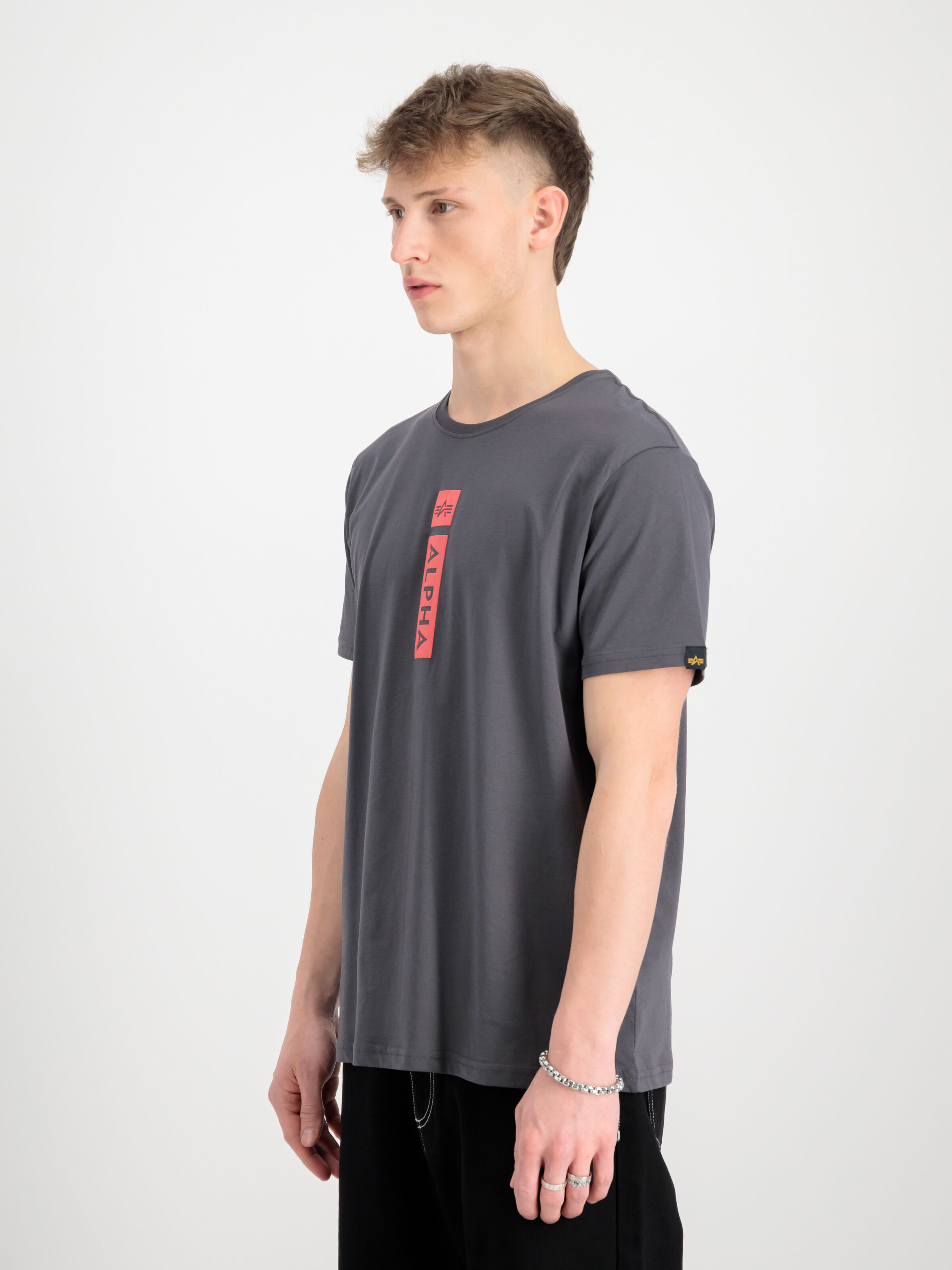Alpha Puff Print T-Shirt vintage grey 146509_684_2_model_00003_129954