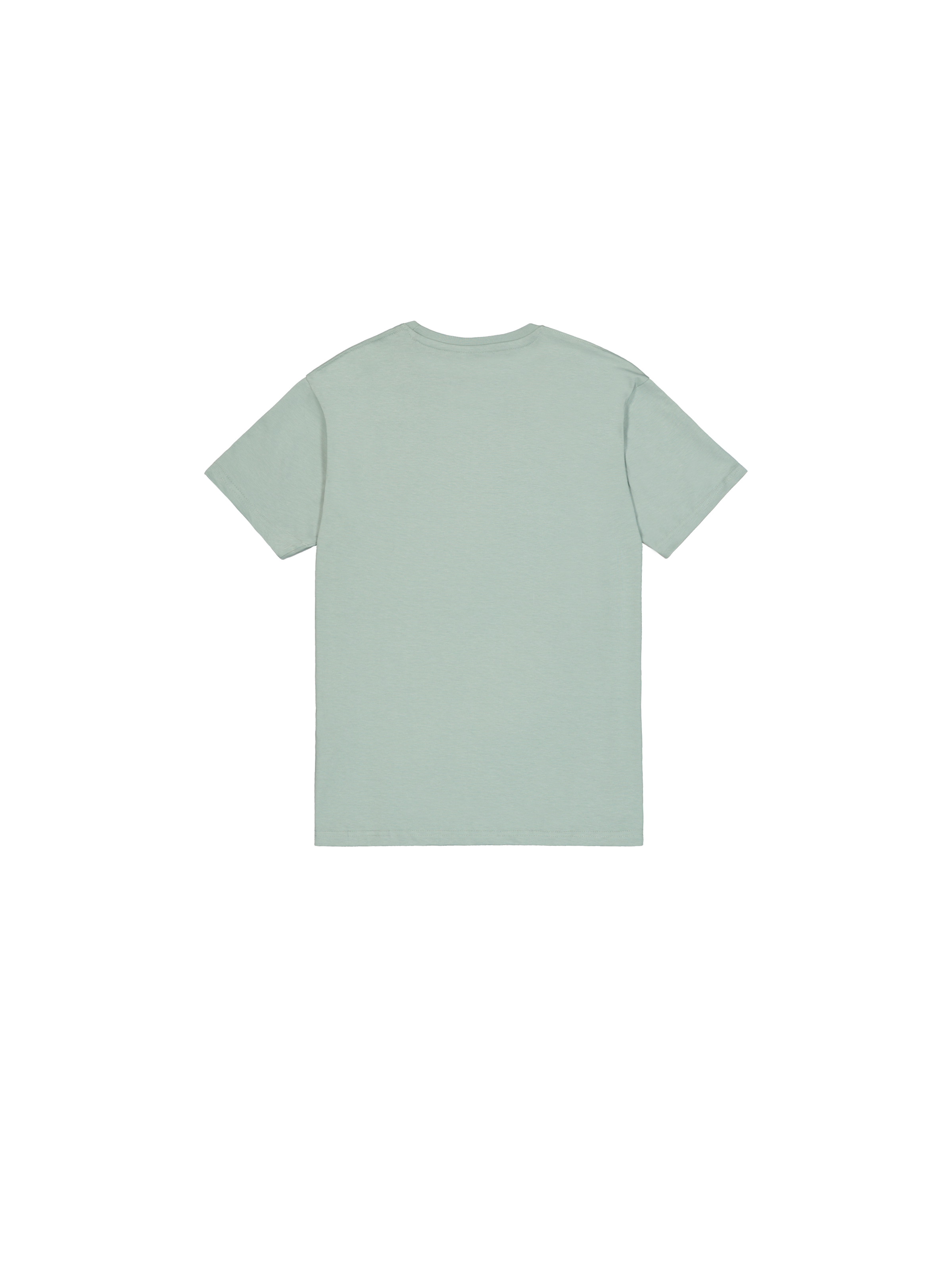Basic Small Logo T-Shirt dusty green 188505_680_1_flatlay_00002_198532