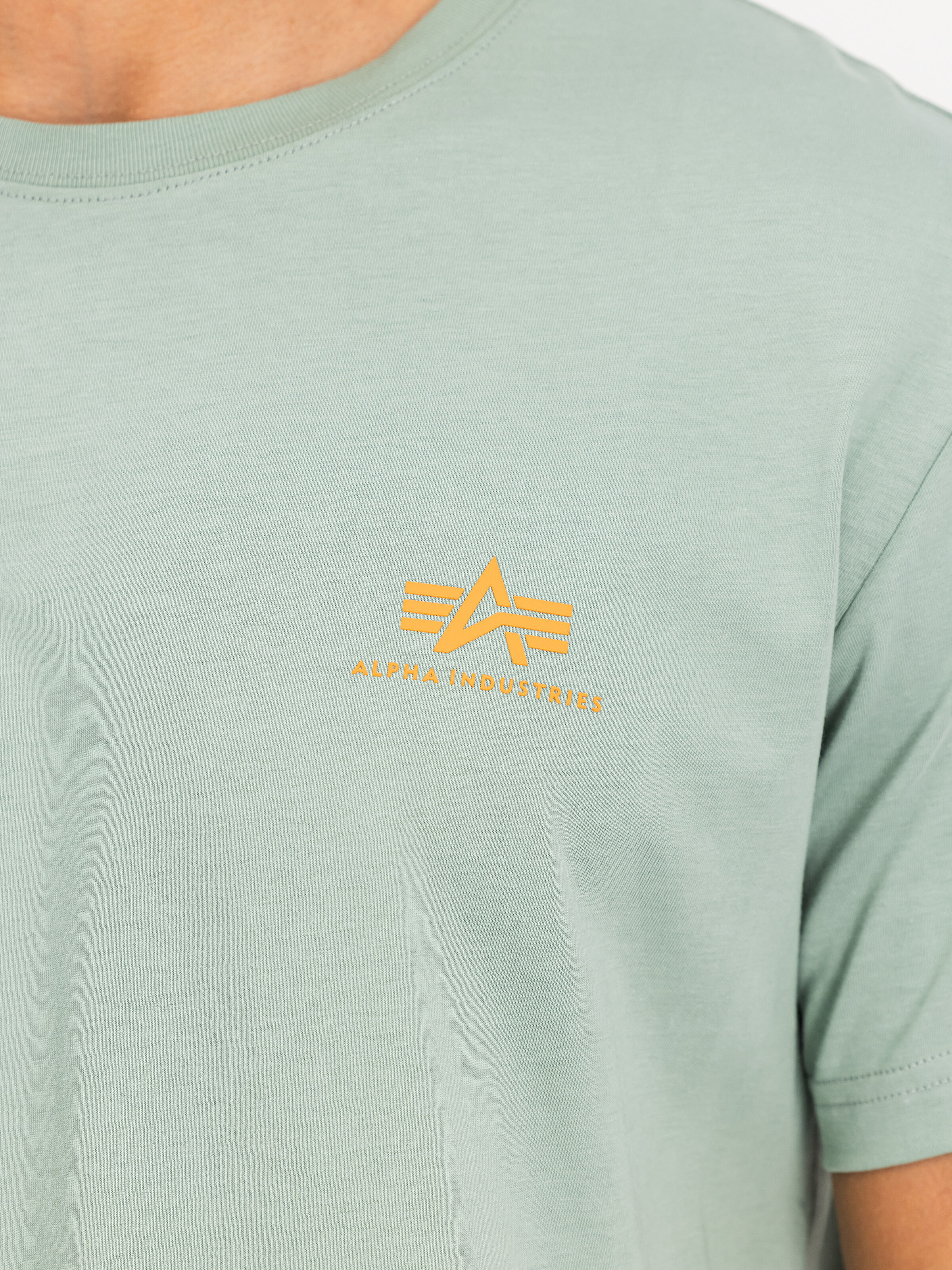 Basic Small Logo T-Shirt frost green 188505_30_3_detail_00001_196398