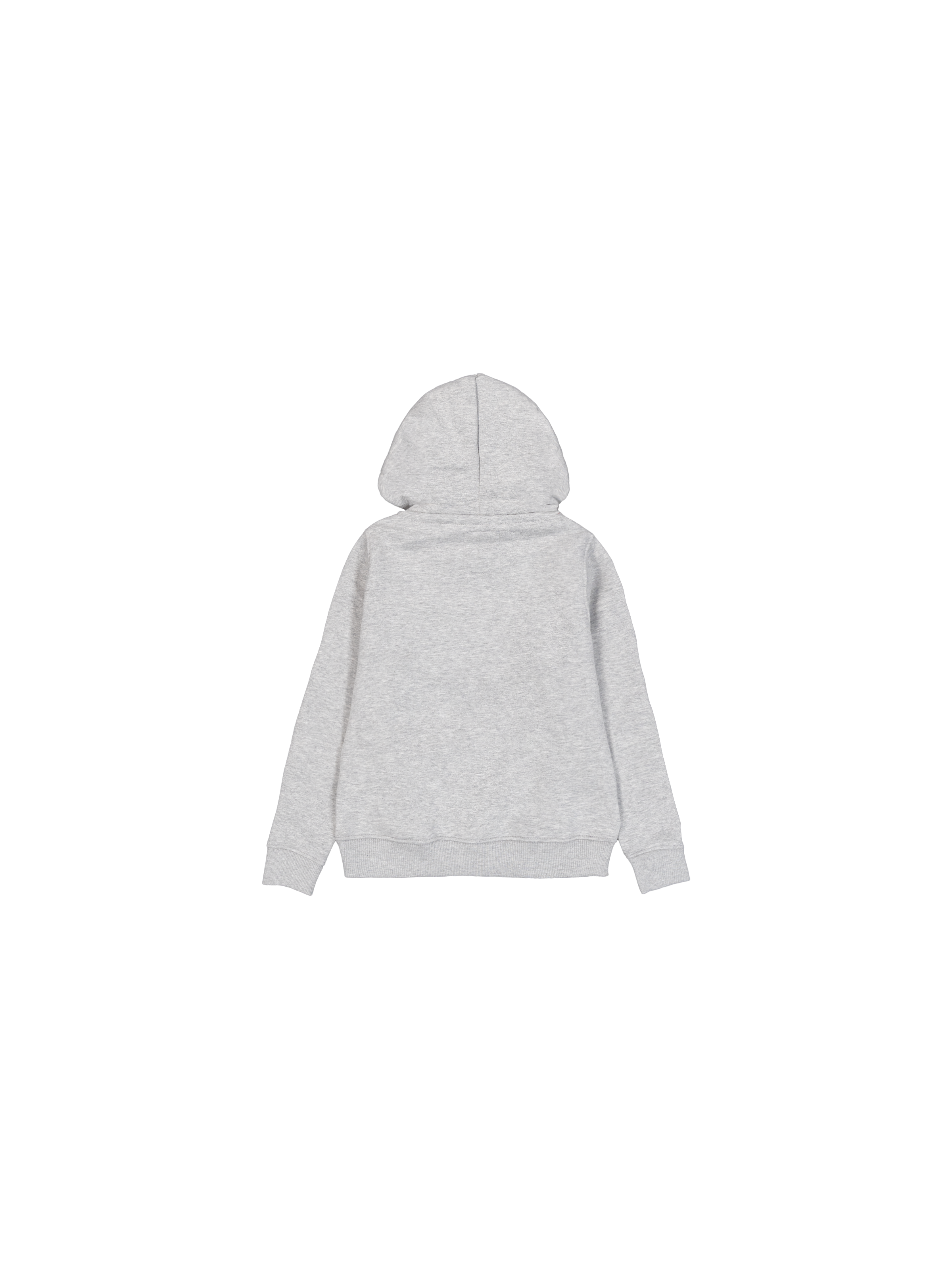 Basic Big Logo Hoodie Kids grey heather 196701_17_1_flatlay_00002_113073