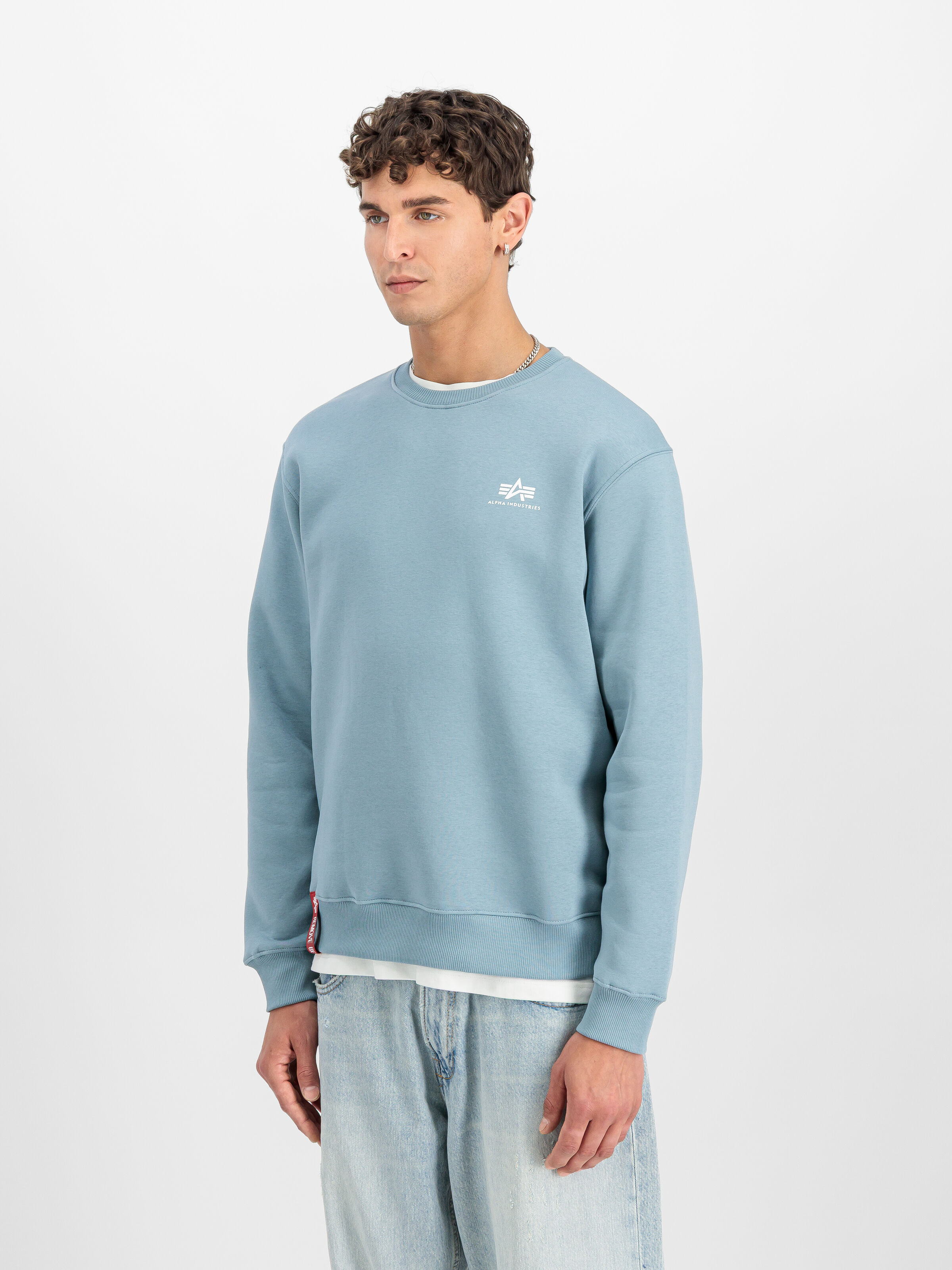 Basic Small Logo Sweatshirt greyblue 188307_134_2_model_00002_188876
