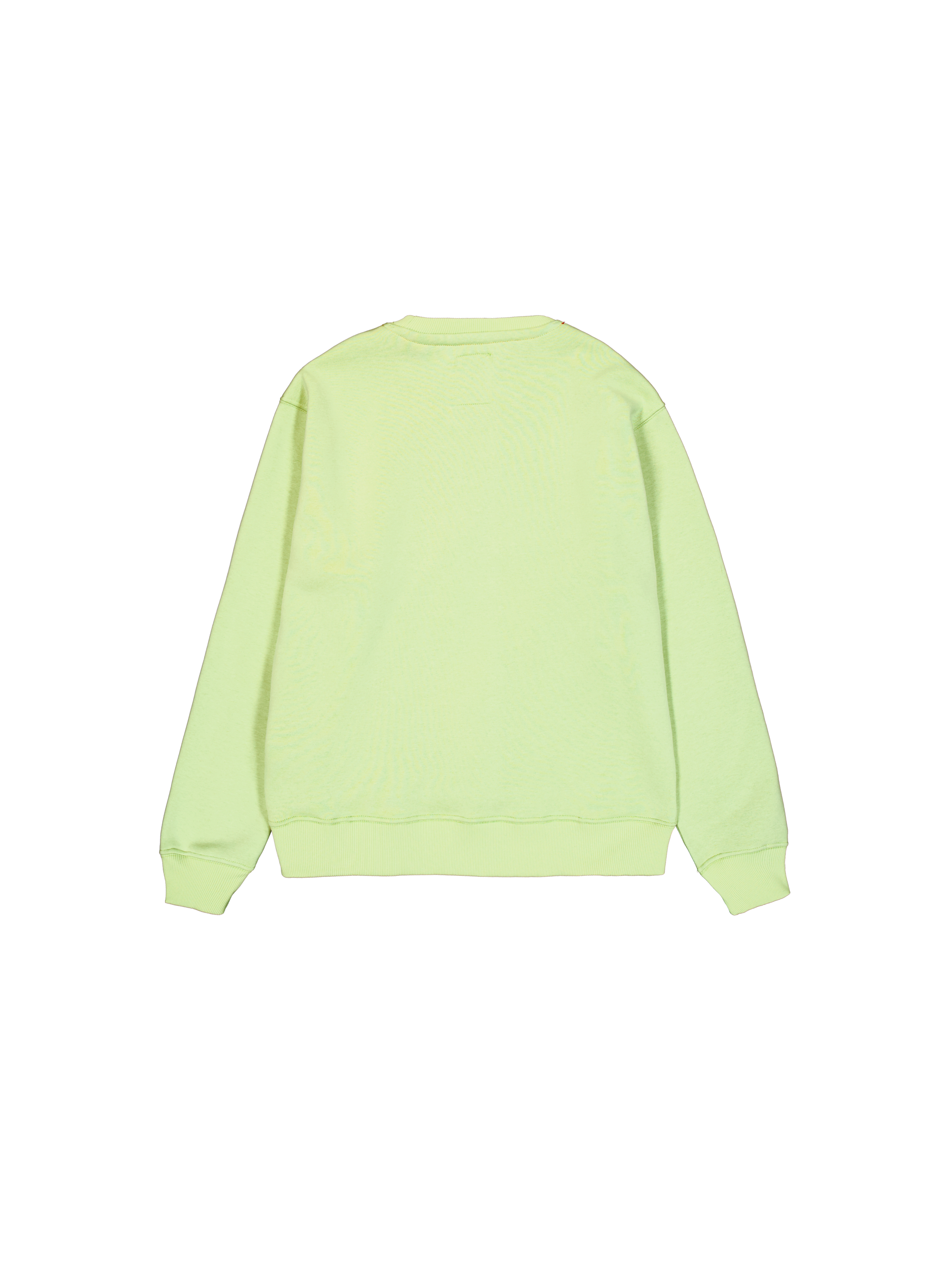 Basic Big Logo Sweatshirt Arctic Lime 178302_722_1_flatlay_00002_97561