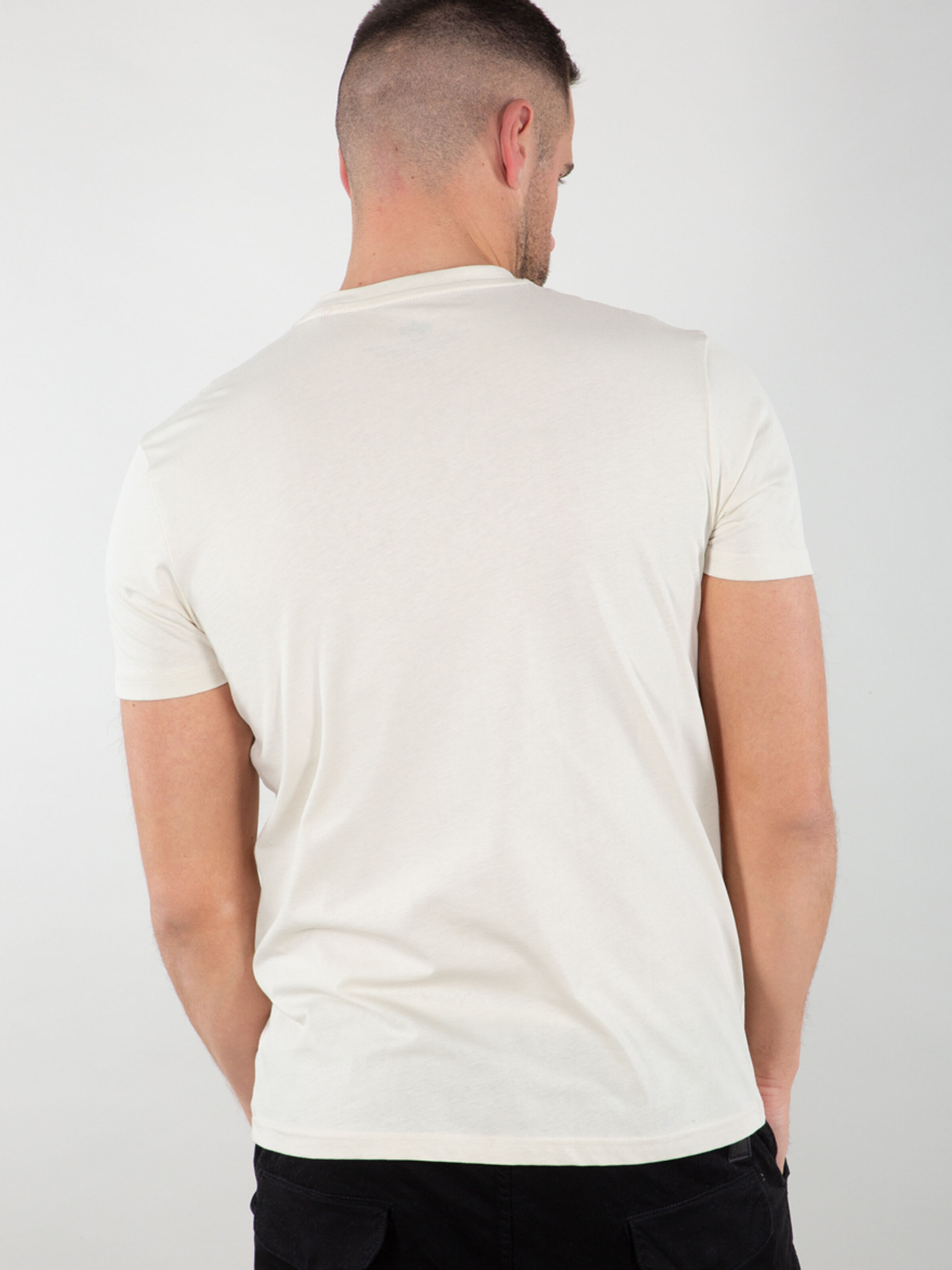 Basic Big Logo T-Shirt jet stream white 100501_578_alphaindustries_basic_t_004_182686