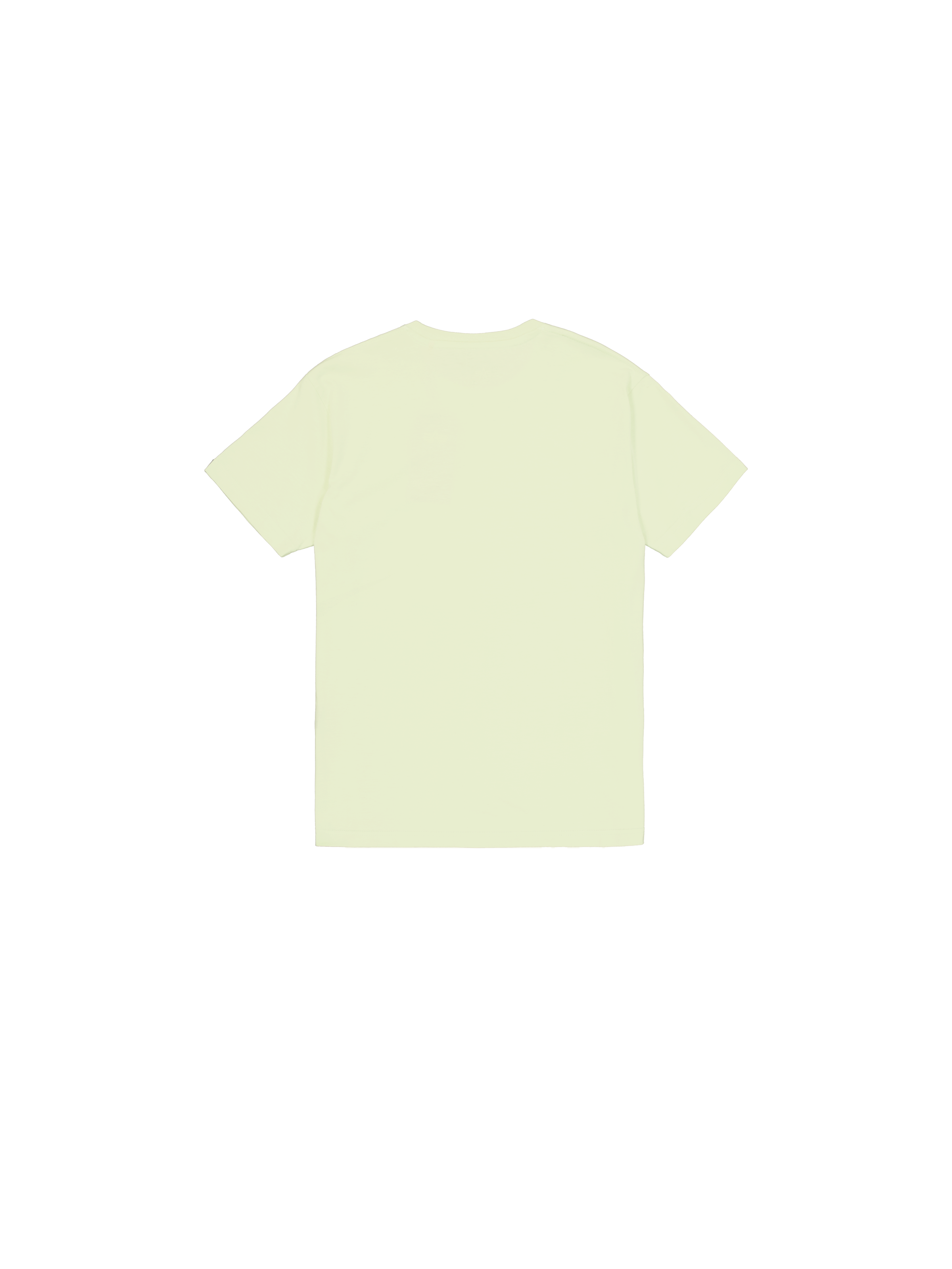 Basic Big Logo Rubber T-Shirt Arctic Lime 100501RB_722_1_flatlay_00002_129279