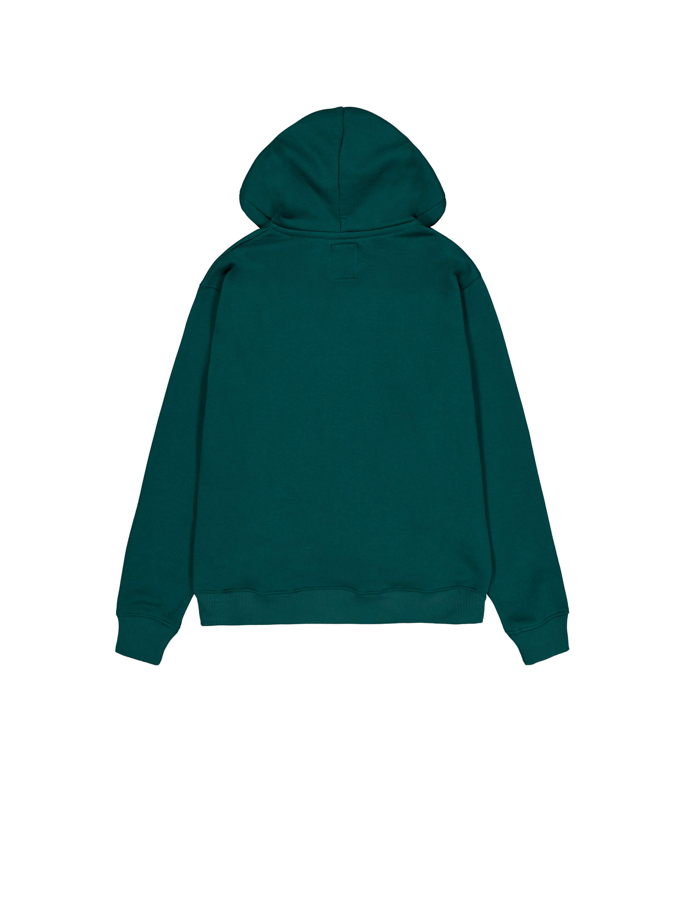 Basic Small Logo Hoodie Force Green 196318_720_1_flatlay_00002_96965