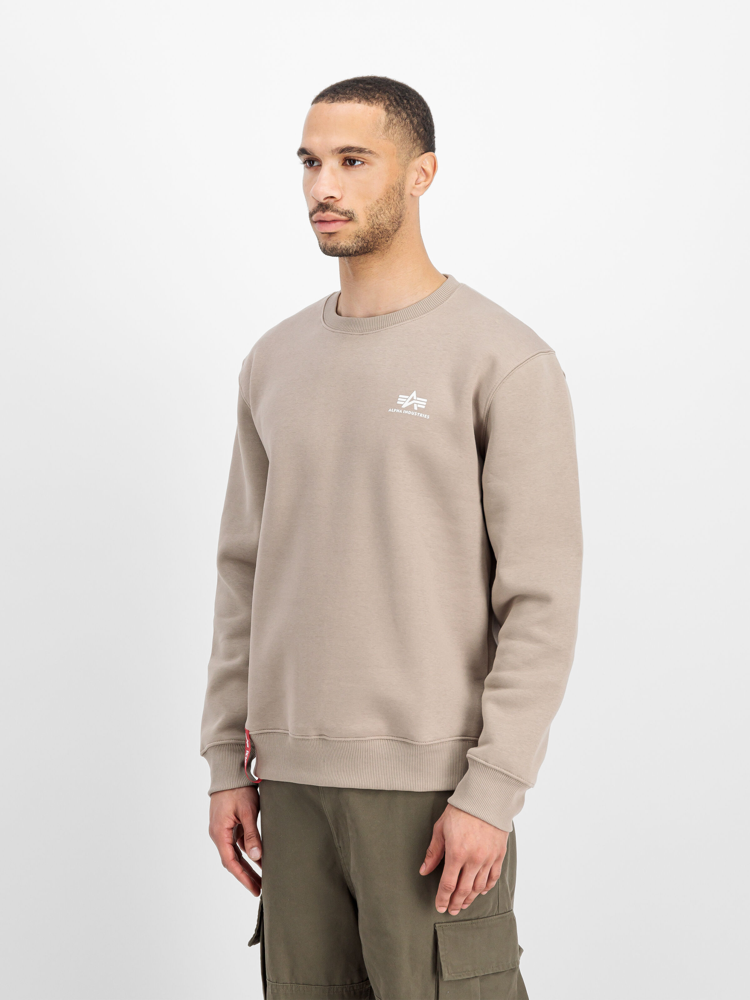 Basic Small Logo Sweatshirt vintage sand 188307_679_2_model_00003_125475