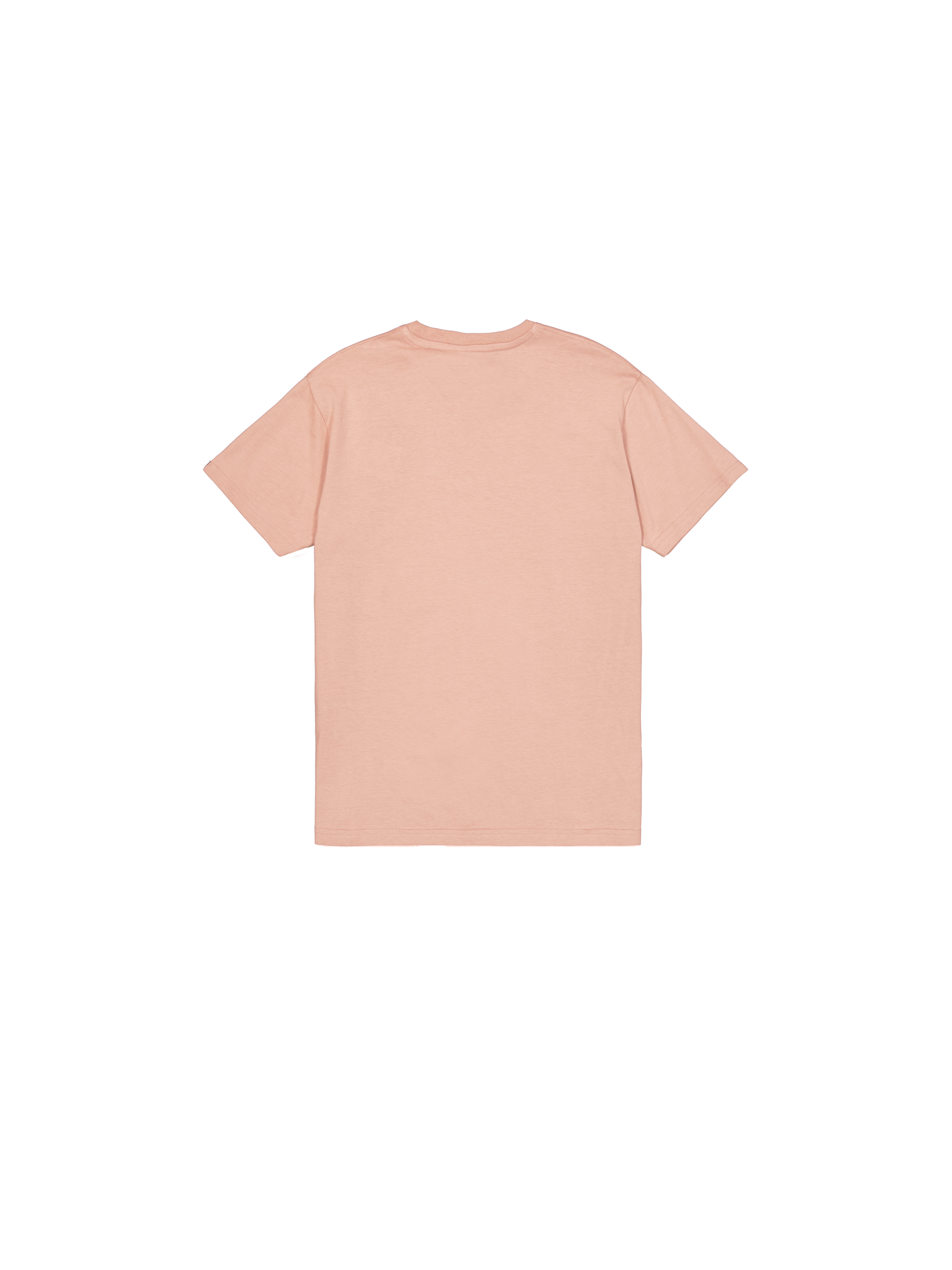 Basic Big Logo T-Shirt Dusty Coral 100501_721_1_flatlay_00002_96899