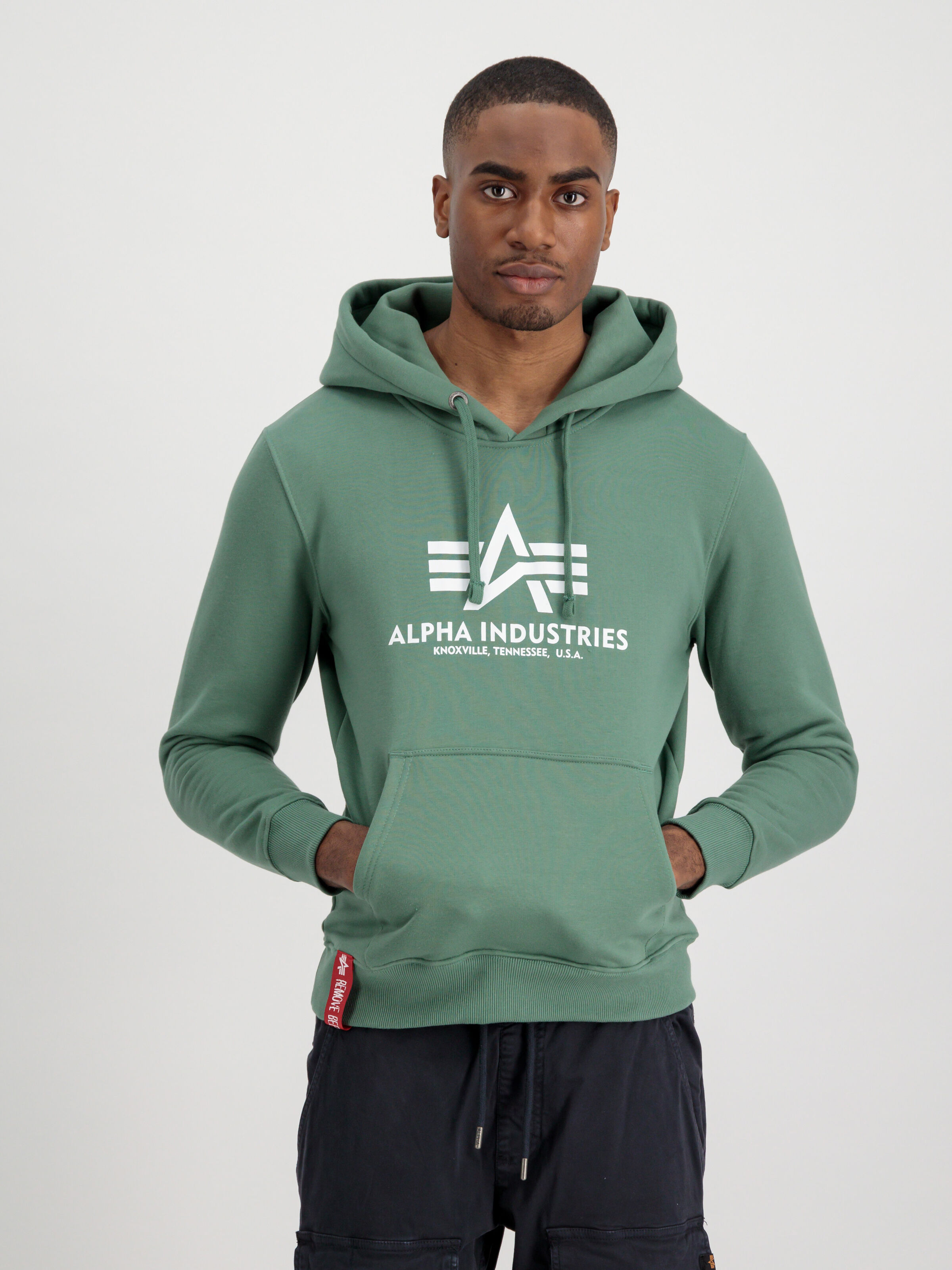 Basic Big Logo Hoodie ivy green 178312_659_alpha_industries_basic_hoody_001_182694