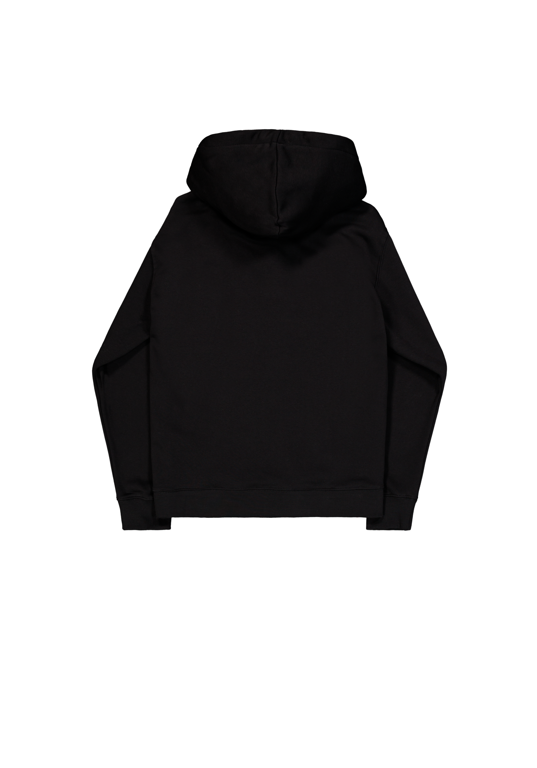Basic Small Logo Hoodie black 196318_03_1_flatlay_00002_119467