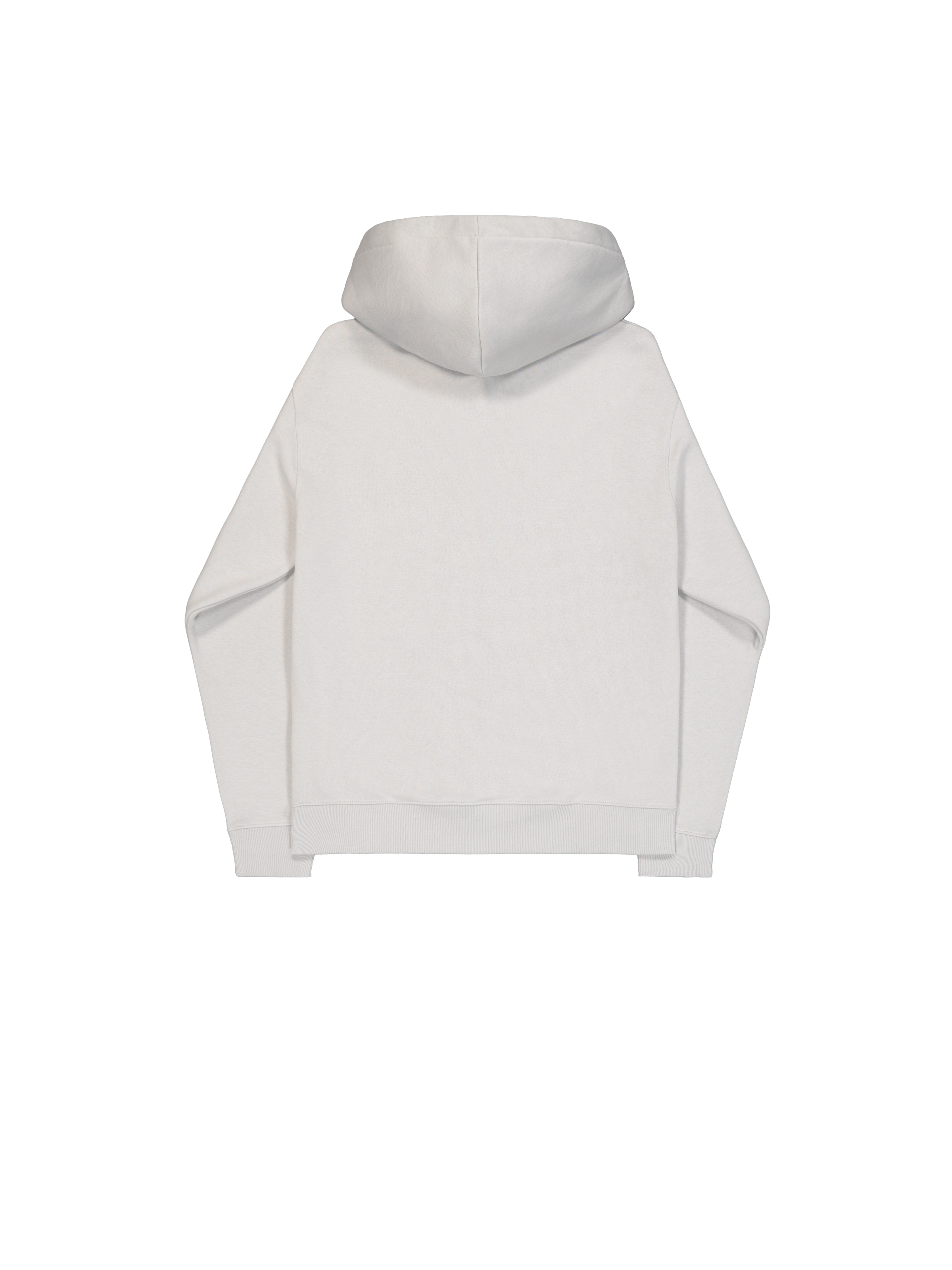 DTM Alpha Hoodie pastel grey 266349_666_1_flatlay_00002_192086