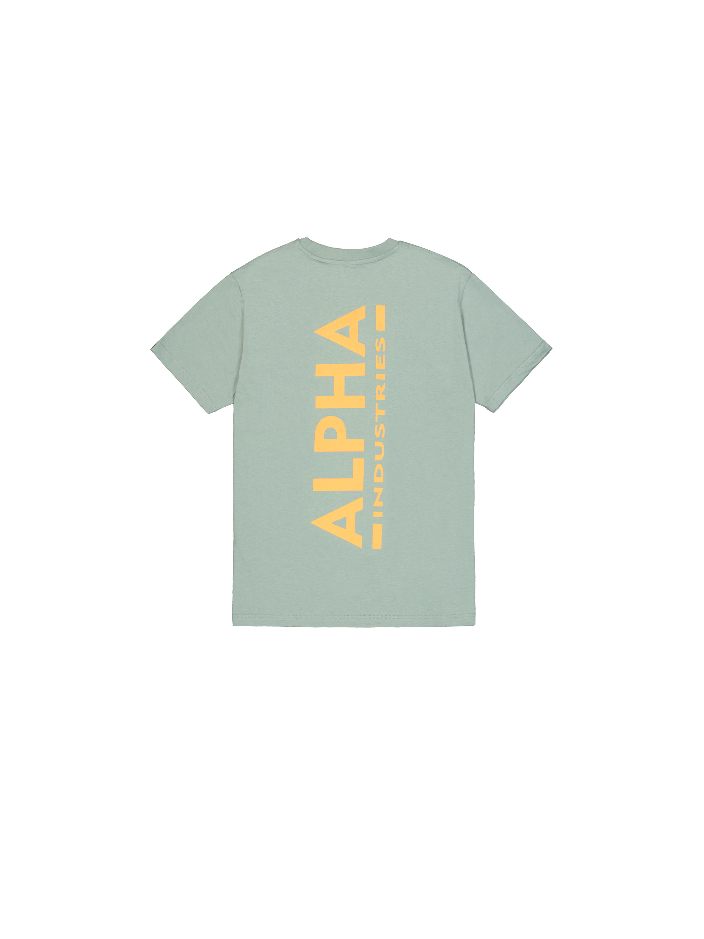 Backprint T-Shirt frost green 128507_30_1_flatlay_00002_174754