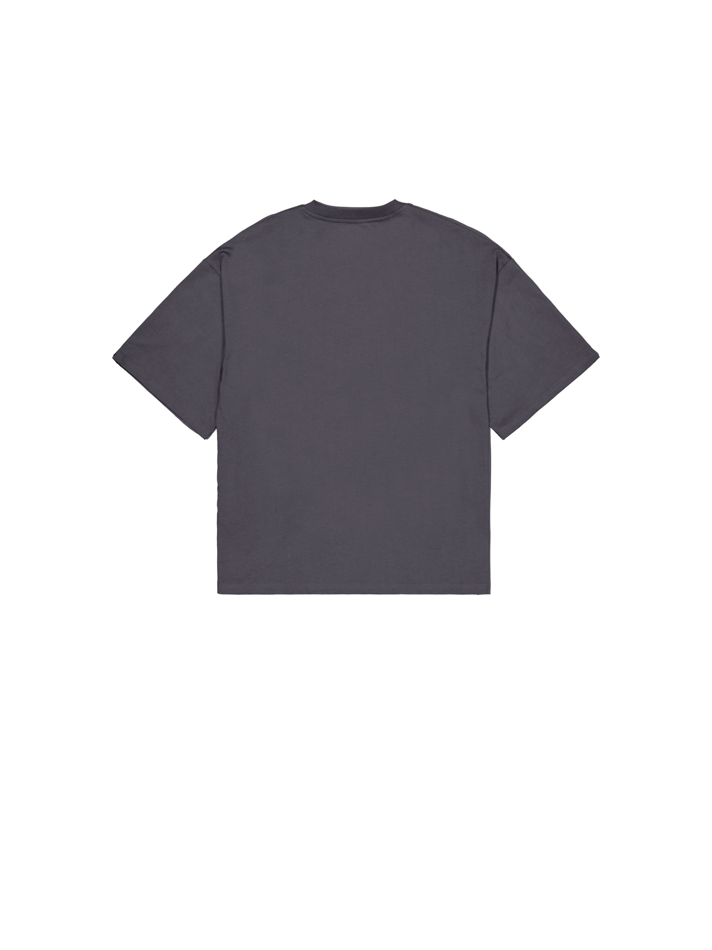 Flock Logo T-Shirt vintage grey 146508_684_1_flatlay_00002_222481