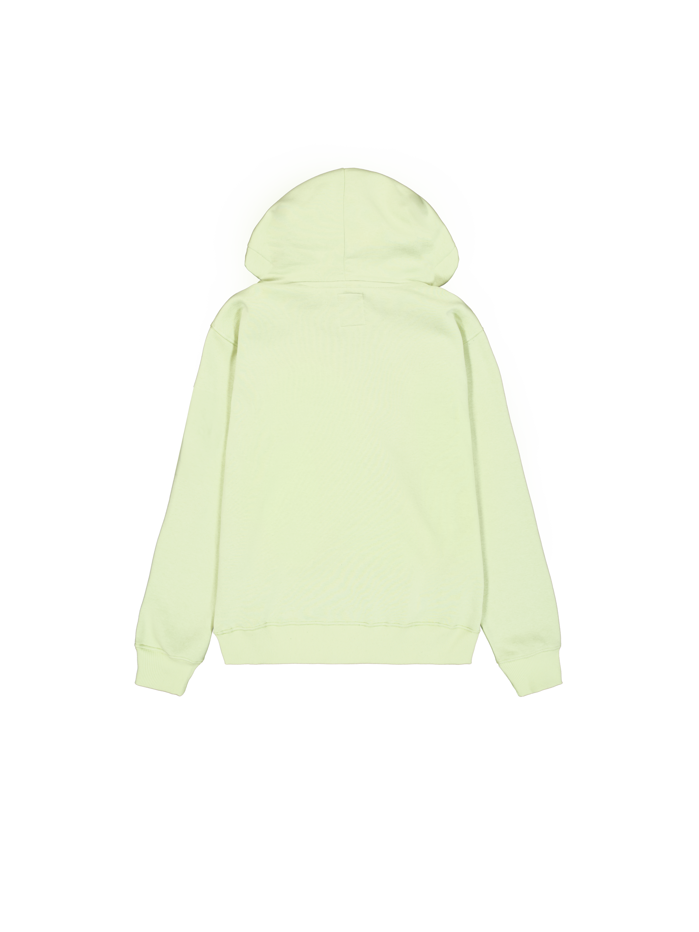 Basic Big Logo Hoodie Arctic Lime 178312_722_1_flatlay_00002_133245