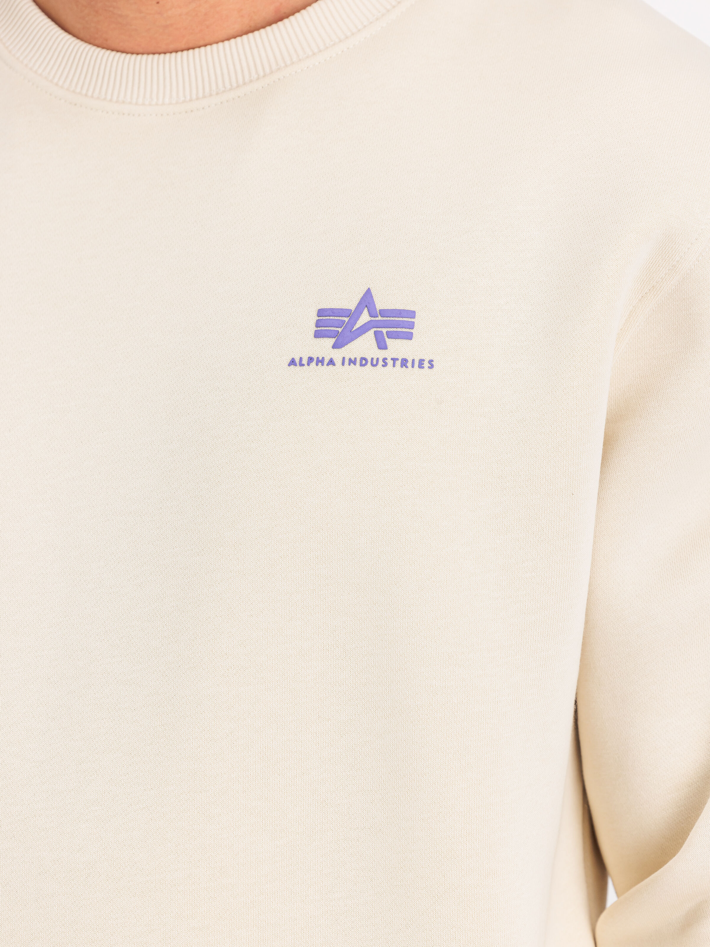 Basic Small Logo Sweatshirt vintage white 188307_300_3_detail_00001_117704