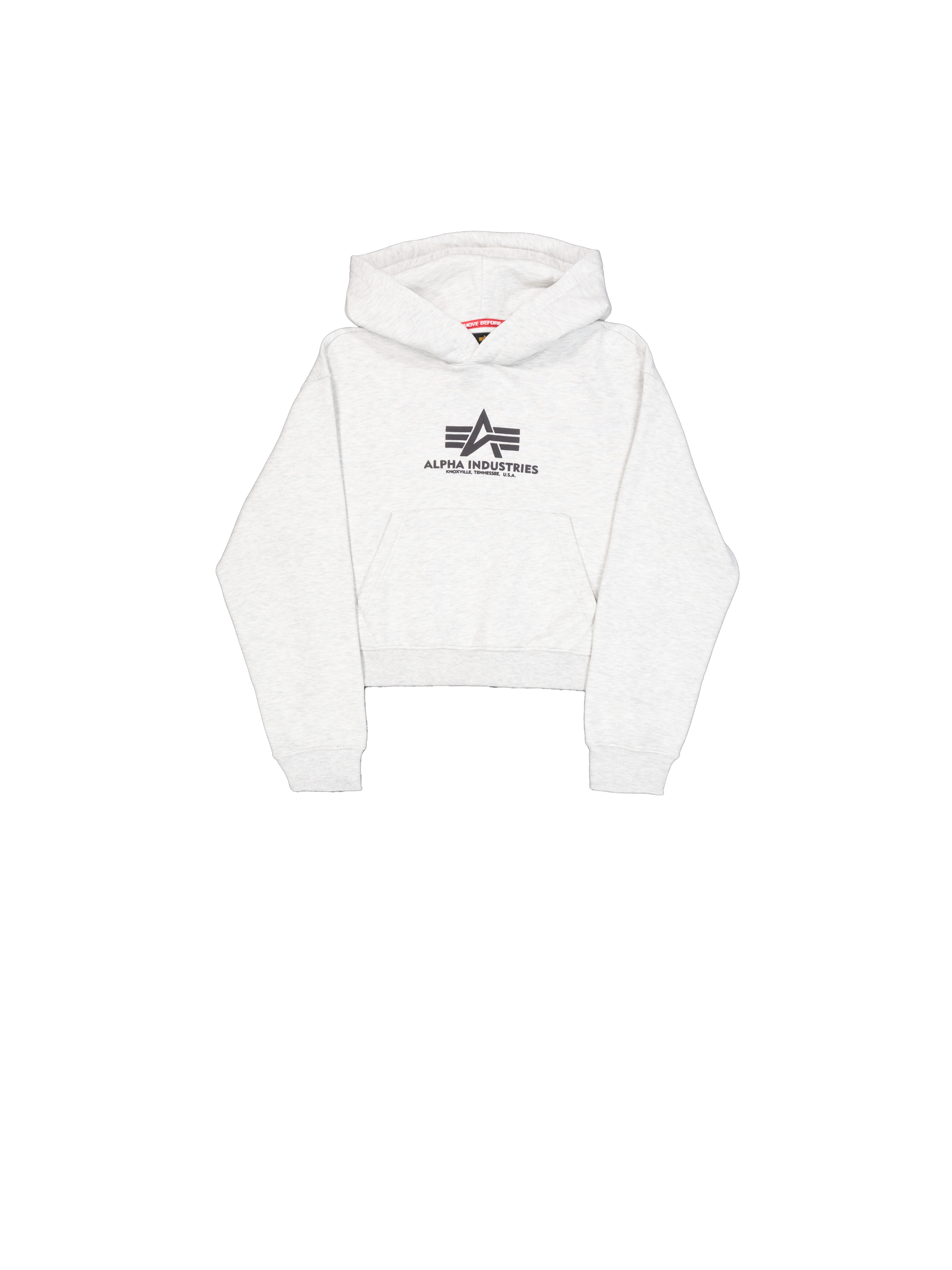 Basic Big Logo Puff Print Hoodie Women pastel grey melange 258040_752_1_flatlay_00001_165926.png