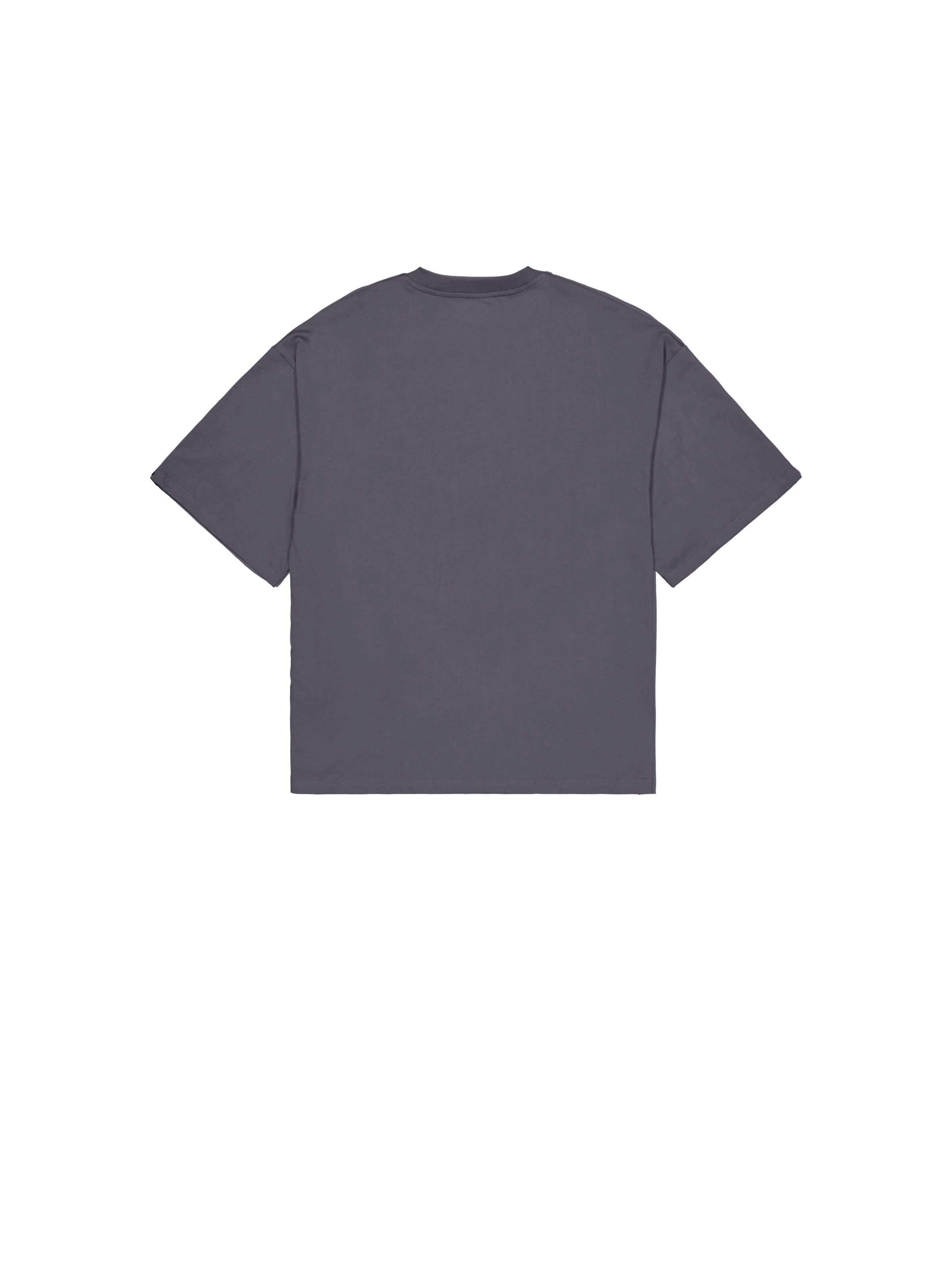 Studio Edition T-Shirt vintage grey 156550_684_1_flatlay_00002_145966
