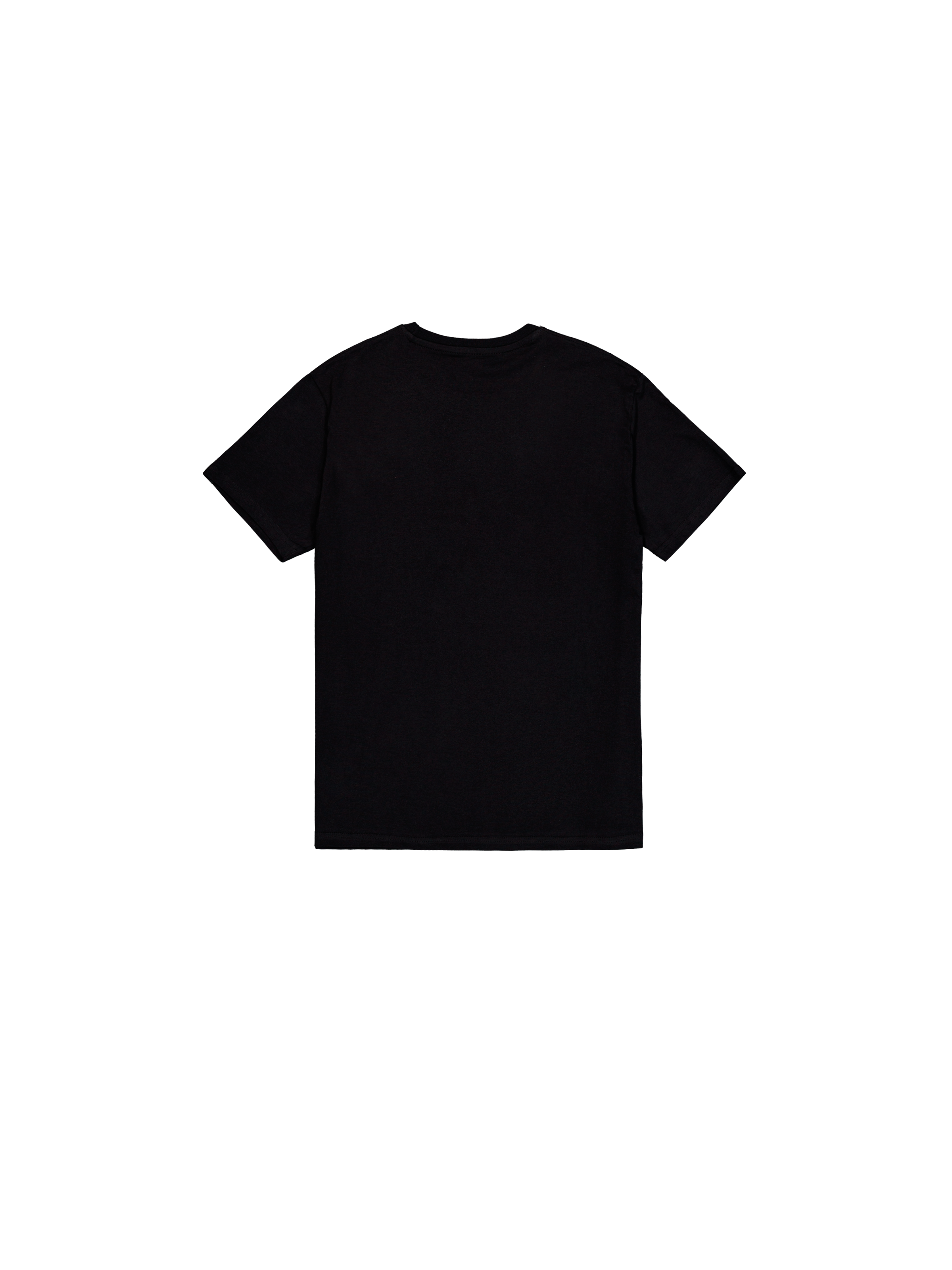 Basic Big Logo V-Neck T-Shirt black 106512_03_1_flatlay_00002_153825