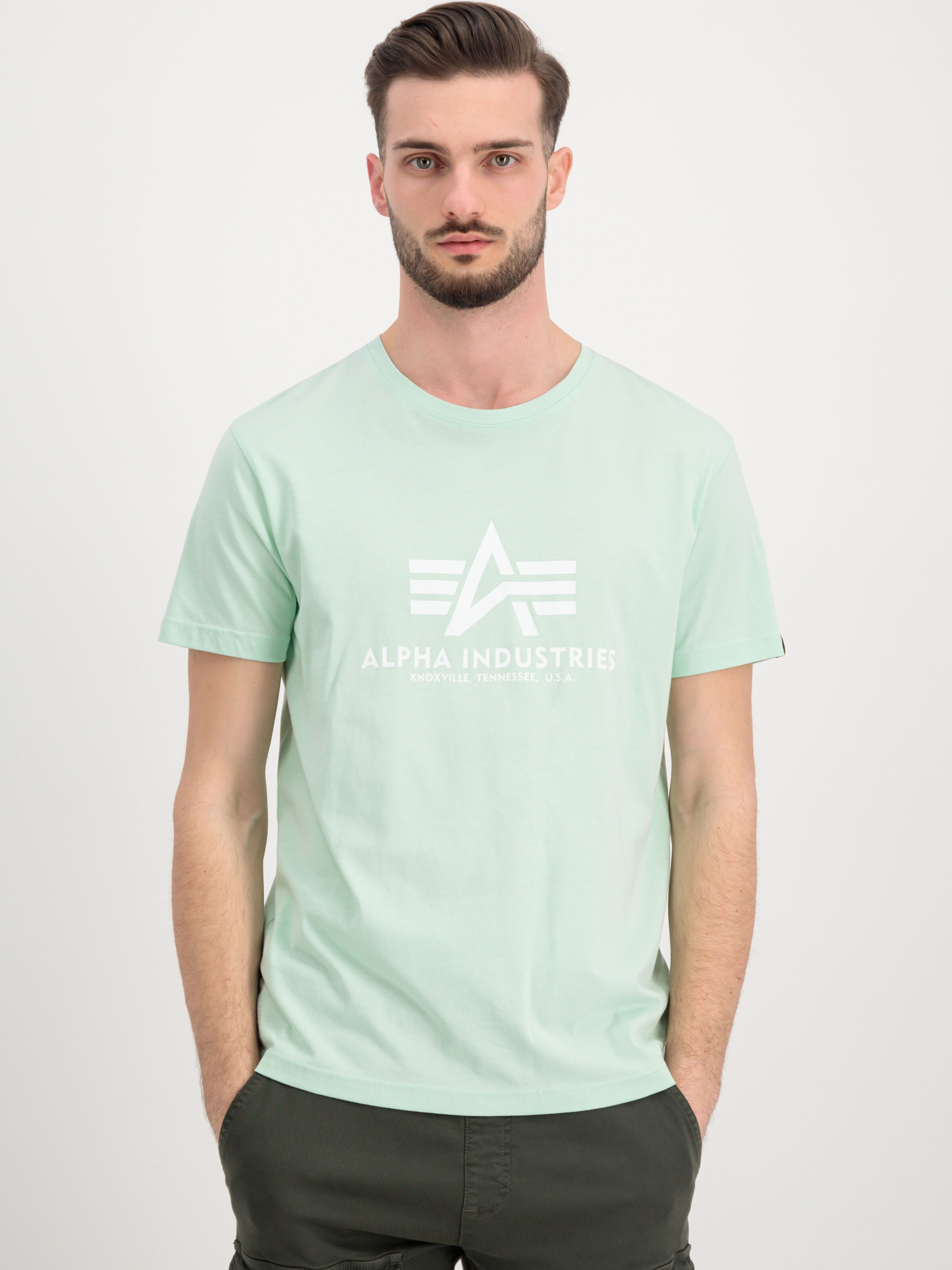 Basic Big Logo T-Shirt mint 100501_43_alpha_industries_basic_t_001_182133