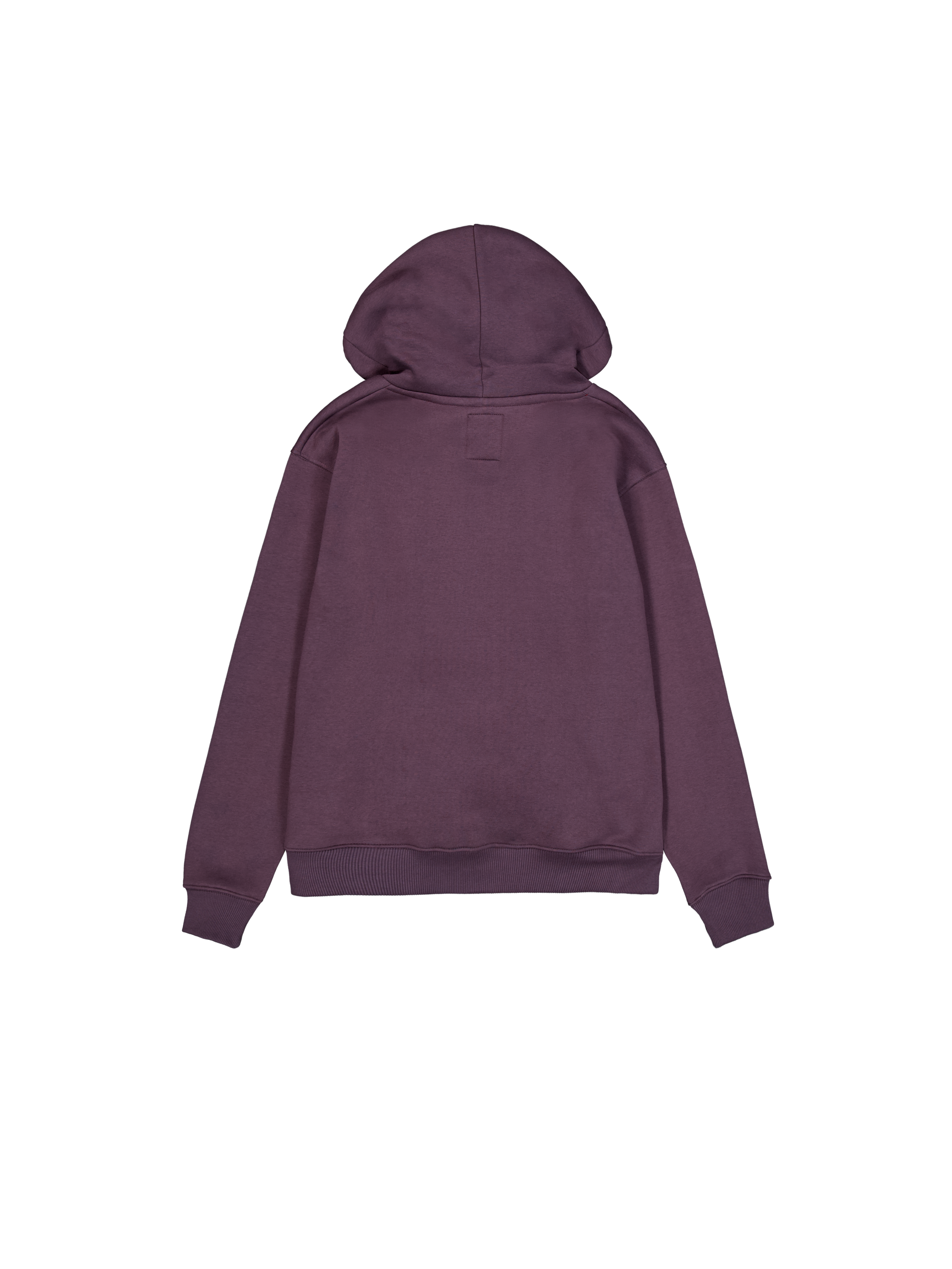 Basic Big Logo Hoodie Plum 178312_719_1_flatlay_00002_133256