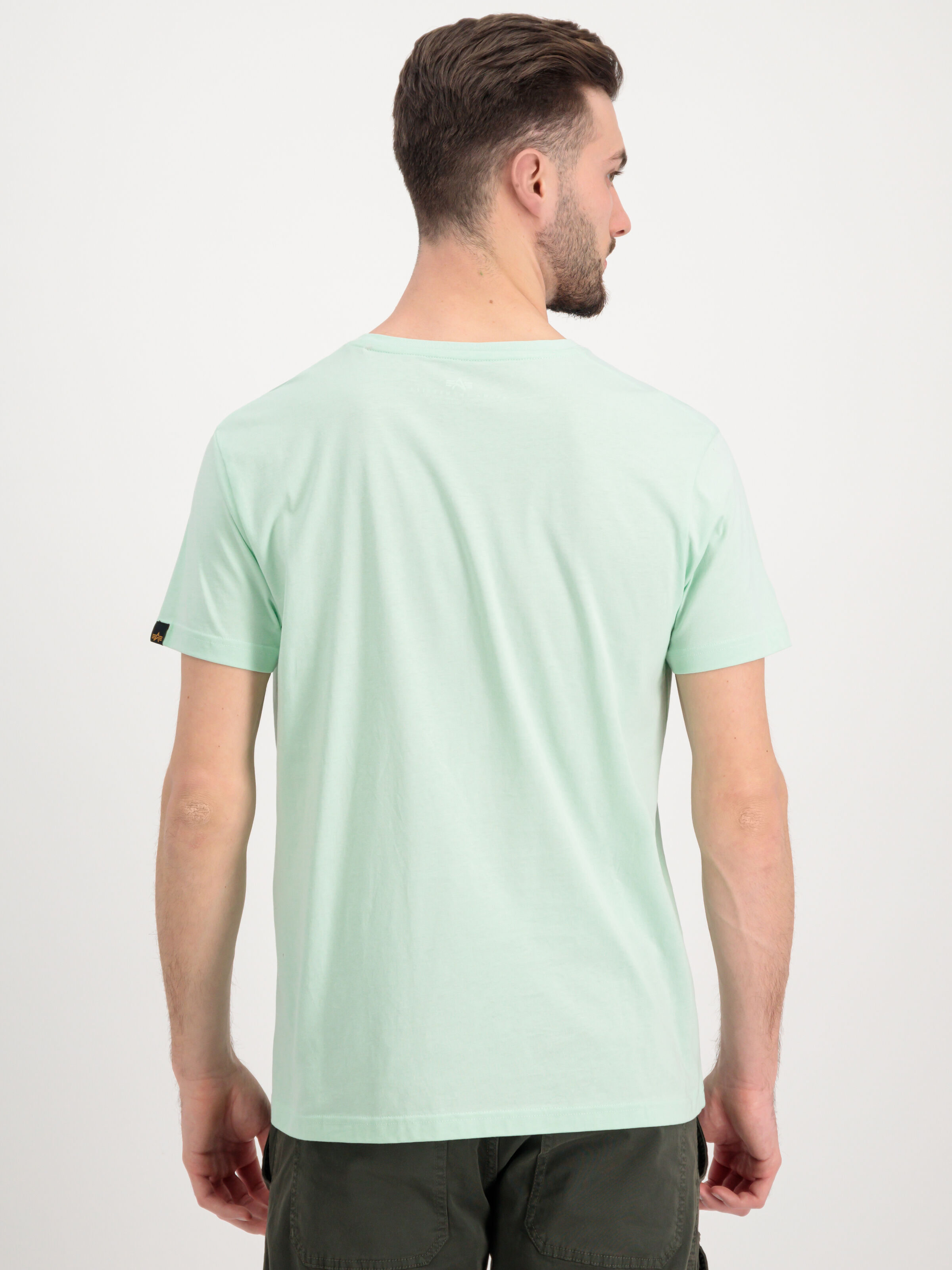 Basic Big Logo T-Shirt mint 100501_43_alpha_industries_basic_t_002_182134