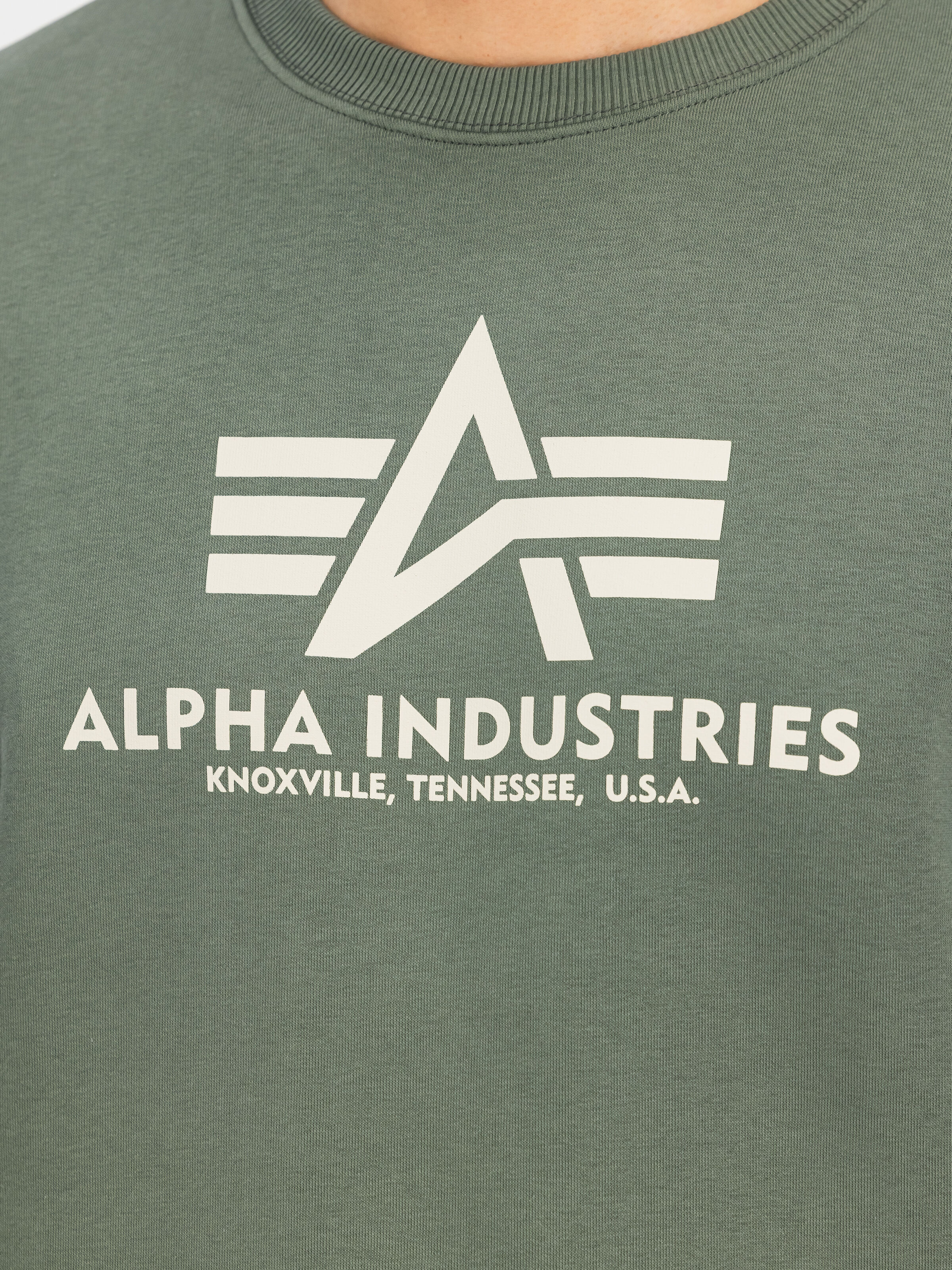 Basic Big Logo Sweatshirt vintage green 178302_432_3_detail_00001_185004