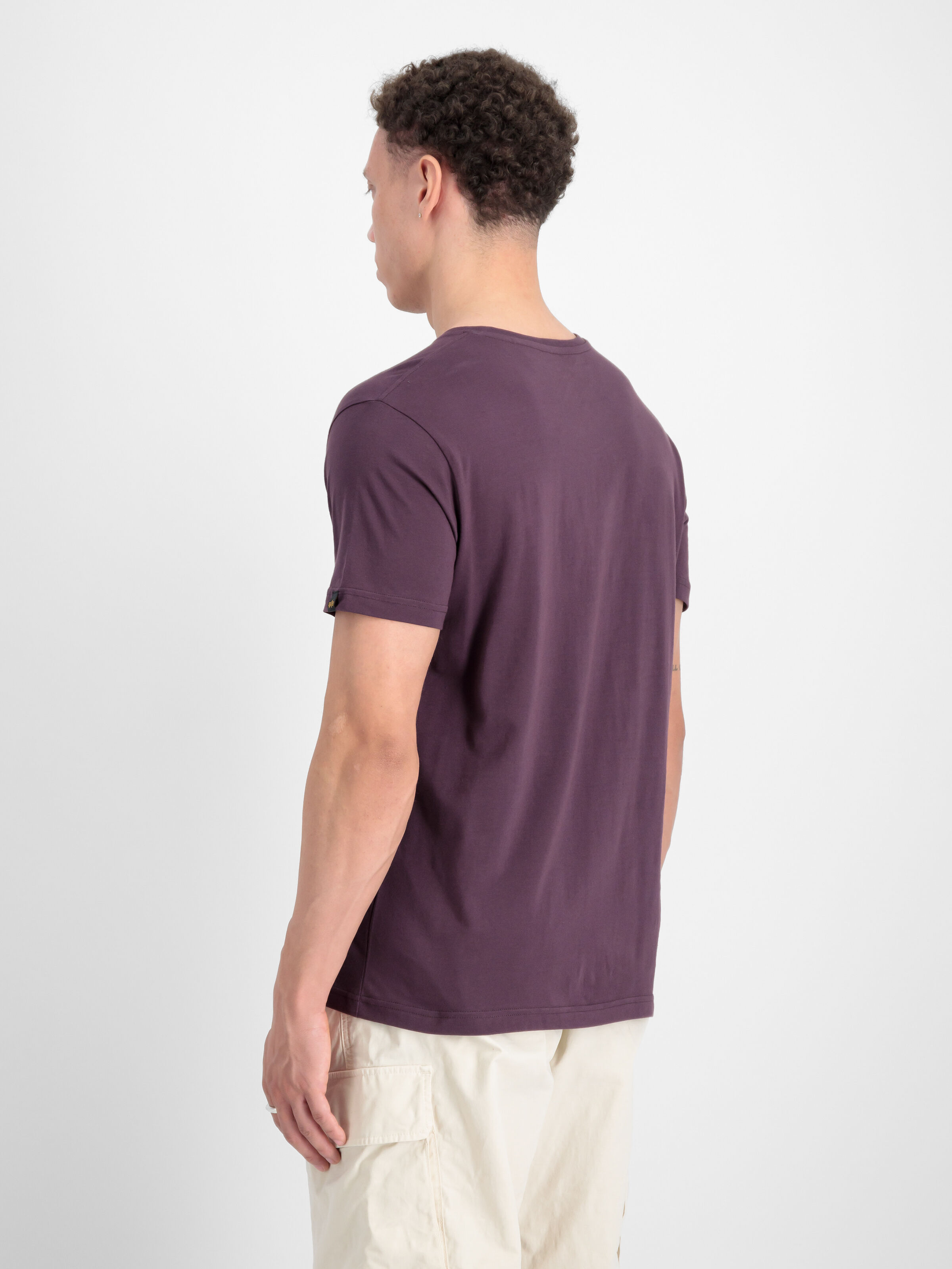 Basic Big Logo T-Shirt Plum 100501_719_2_model_00004_96854
