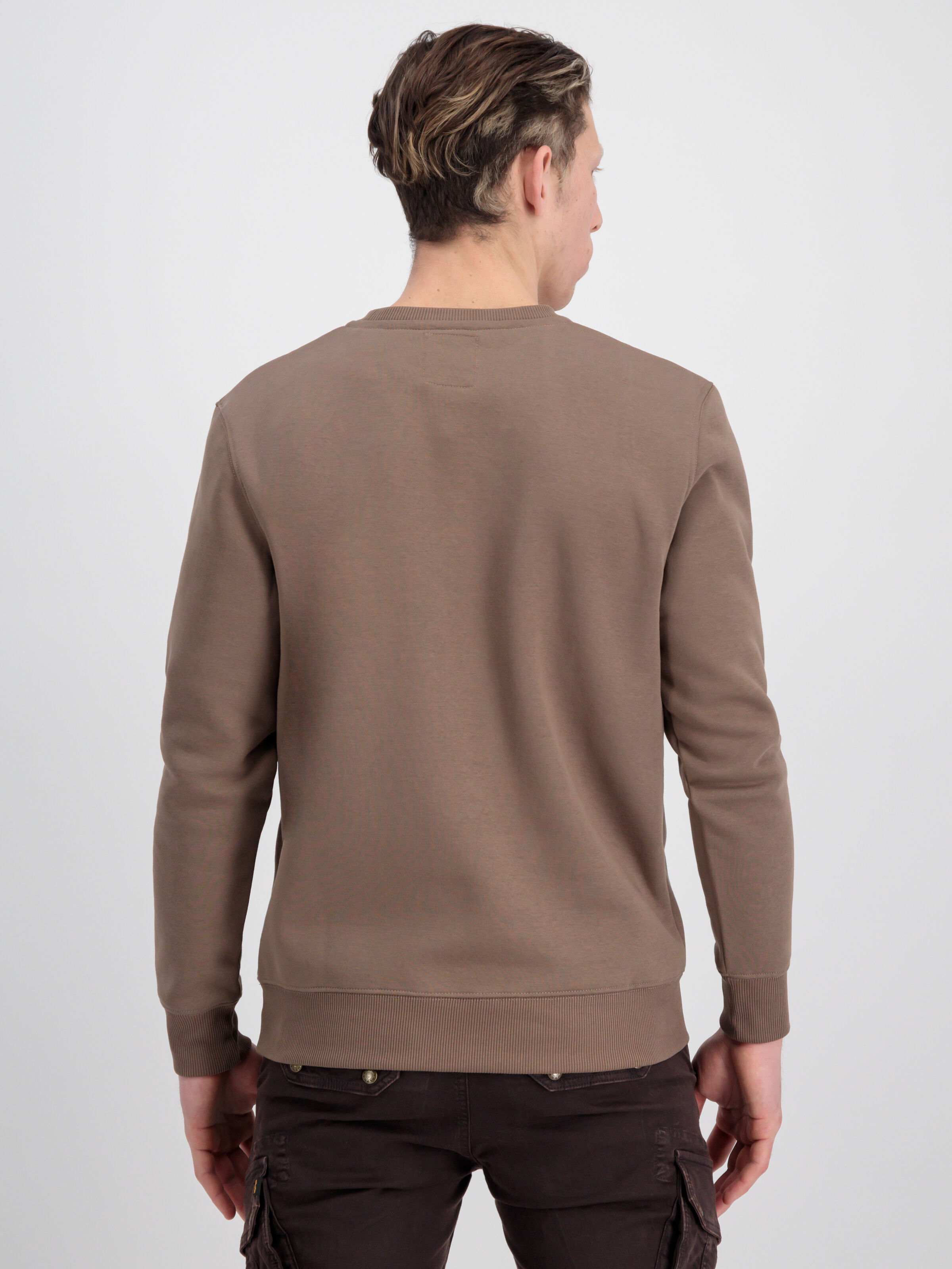 Basic Big Logo Sweatshirt taupe 178302_183_alpha_industries_basic_sweater_003_182760