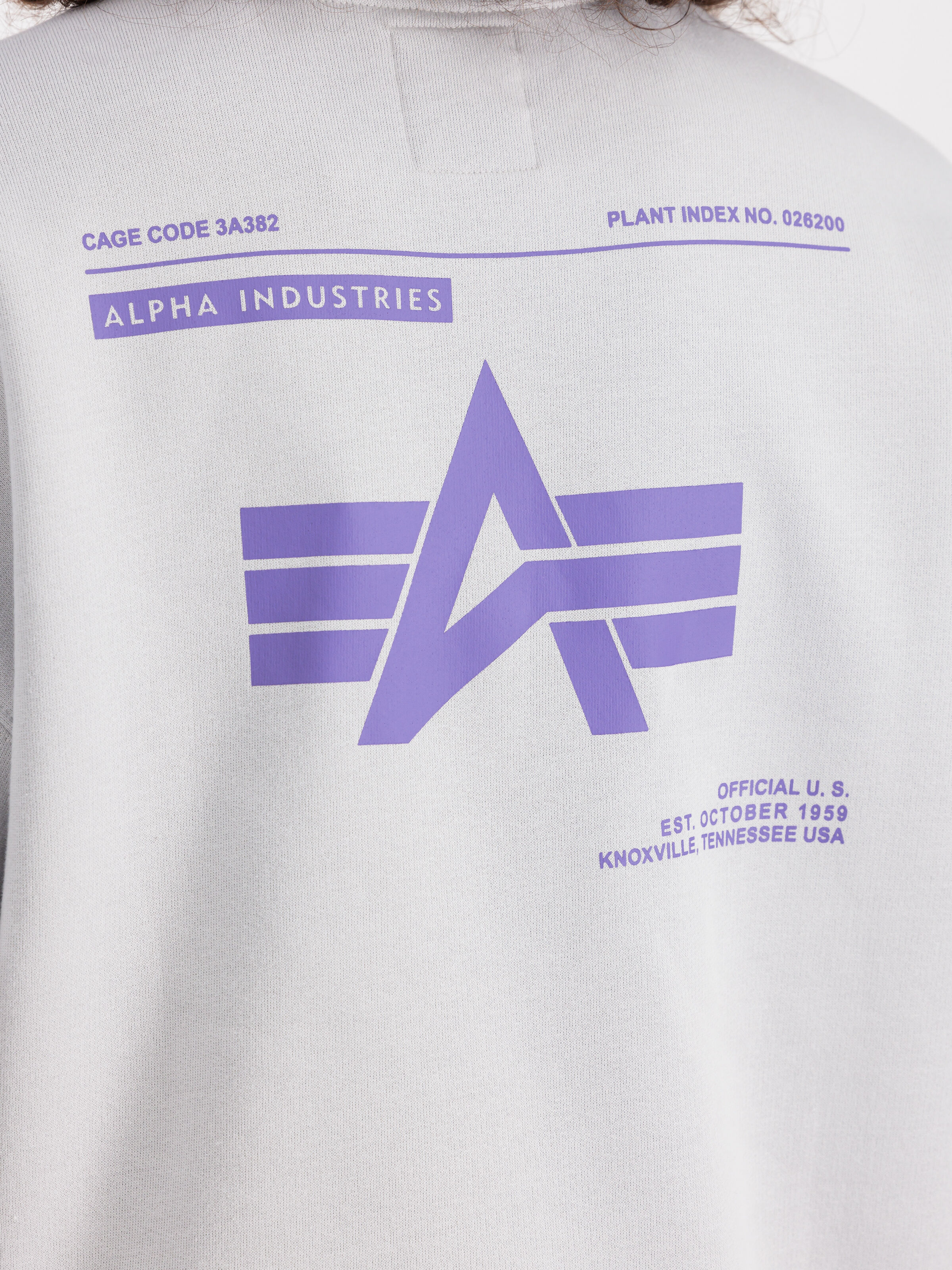 Logo Backprint Sweatshirt pastel grey 146304_666_3_detail_00001_99263