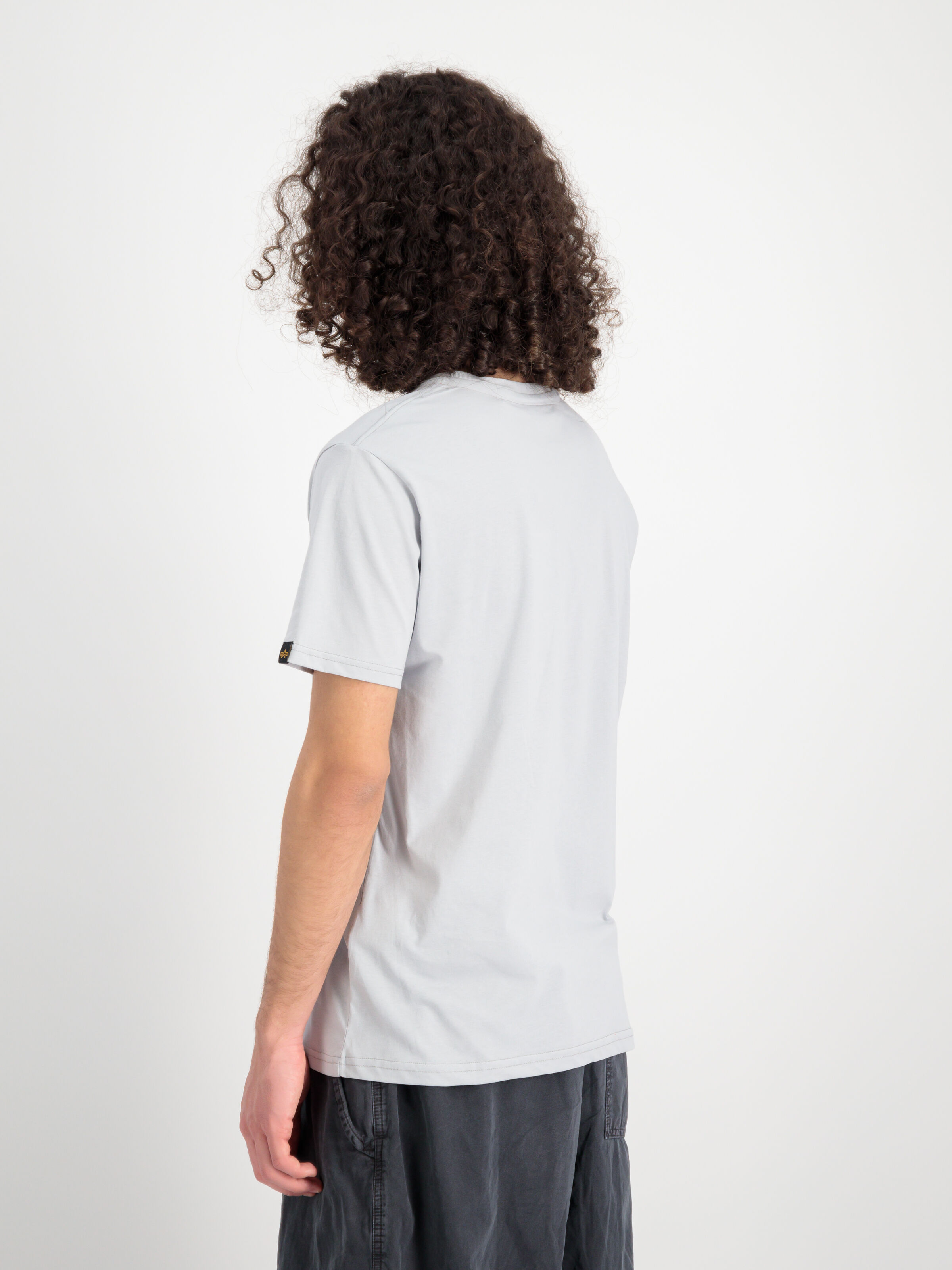 Alpha Puff Print T-Shirt pastel grey 146509_666_2_model_00004_118689