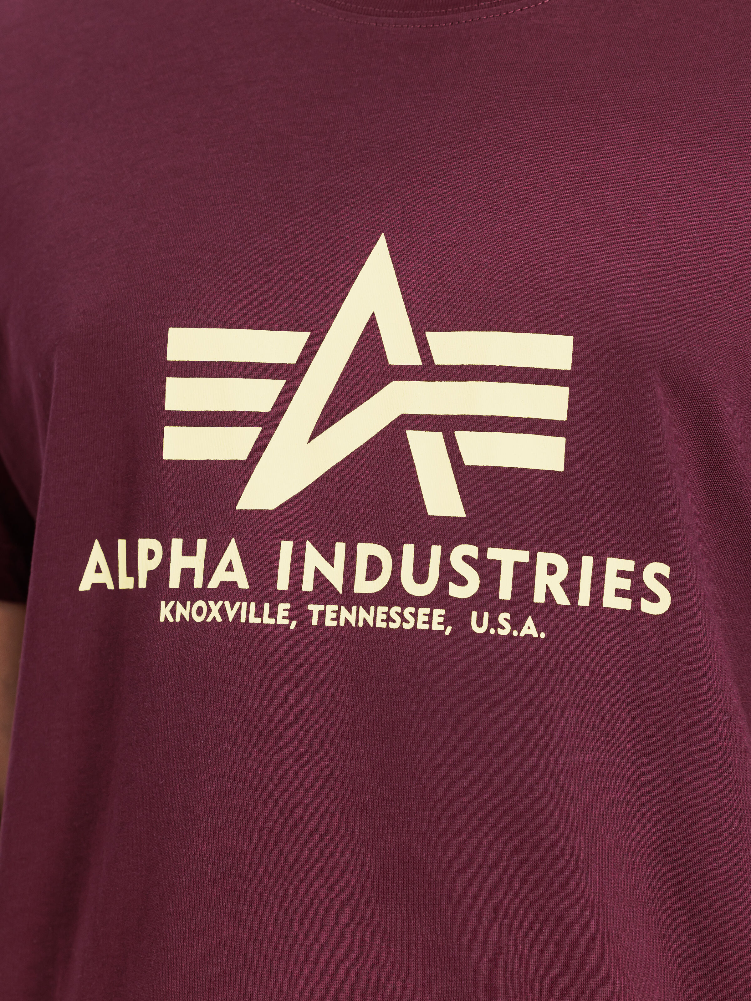 Basic Big Logo T-Shirt dark cherry 100501_608_3_detail_00001_162179