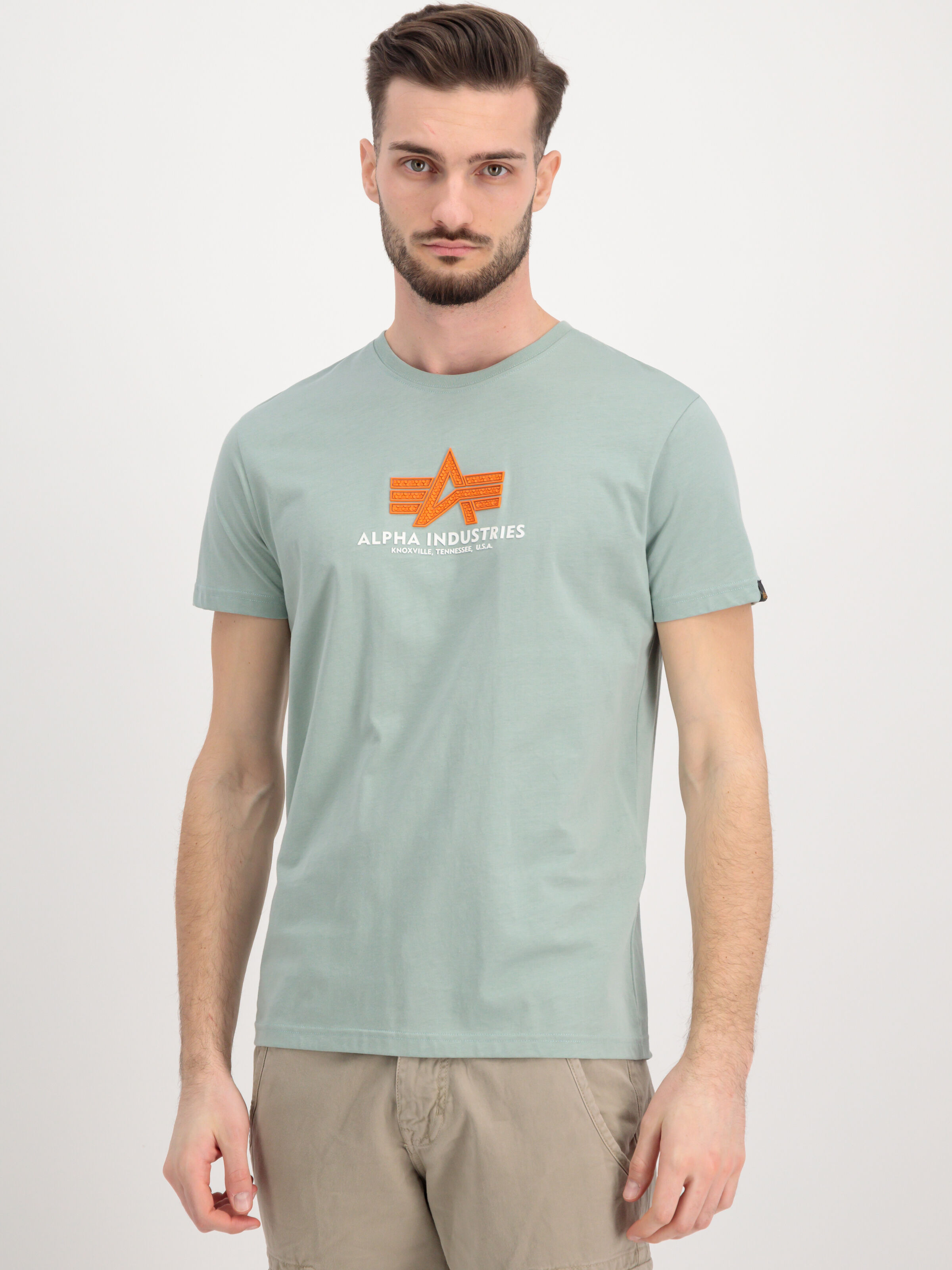 Basic Big Logo Rubber T-Shirt dusty green 100501RB_680_alpha_industries_basic_t_rubber_001_182345