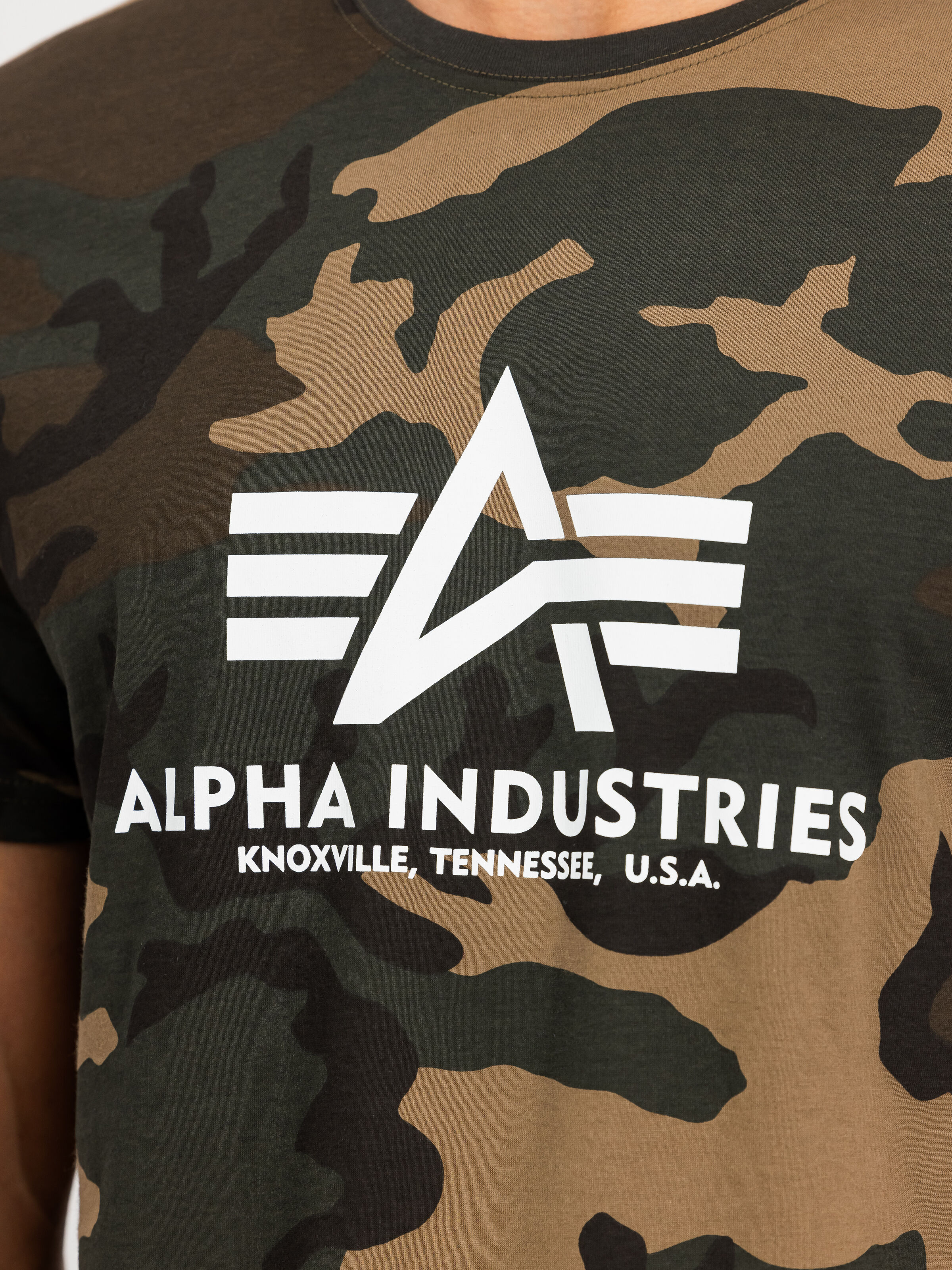 Basic Big Logo Camo T-Shirt wdl camo 65 100501C_408_3_detail_00001_199446