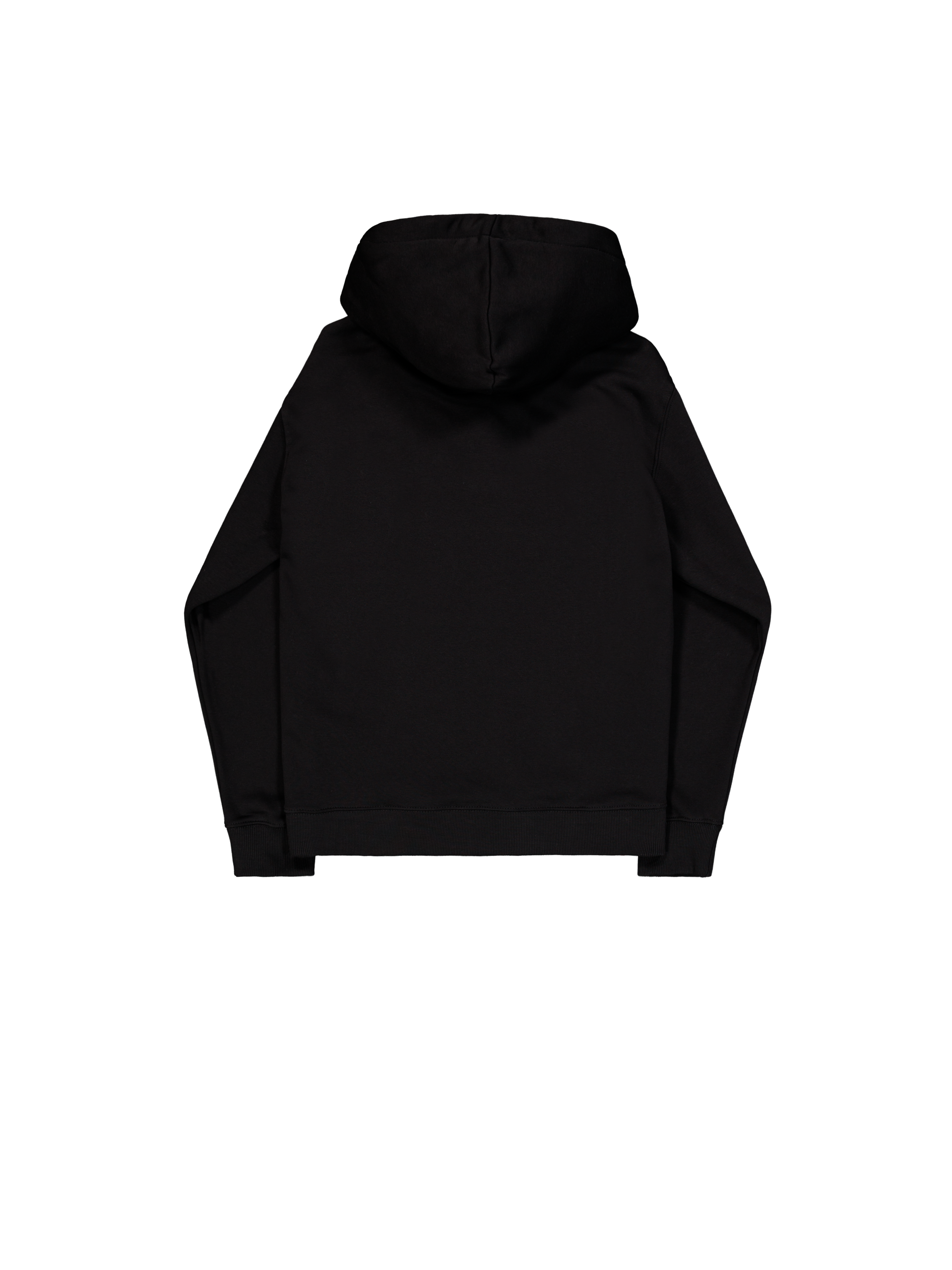 Basic Big Logo Zip Hoodie black 178325_03_1_flatlay_00002_124658