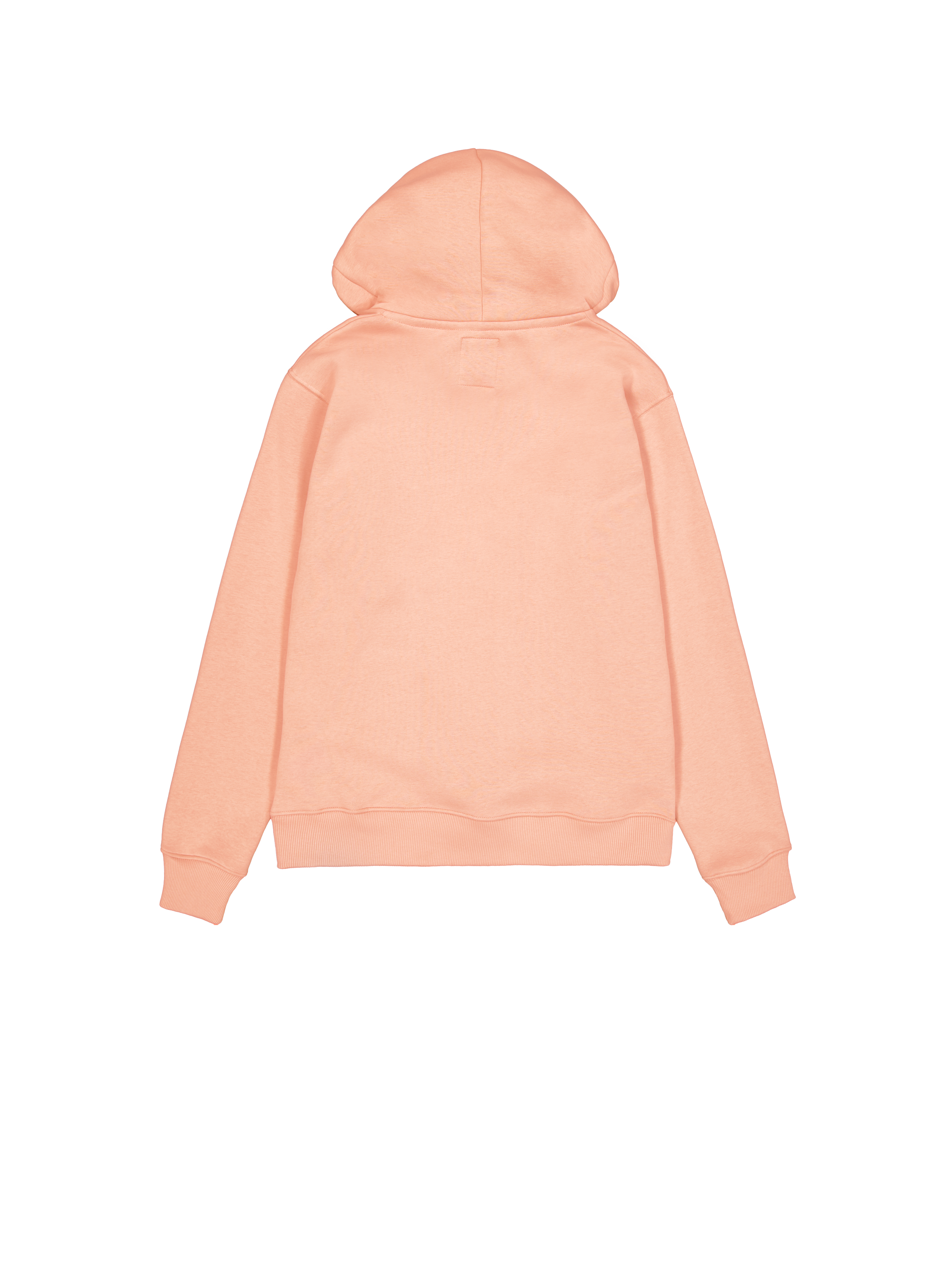Basic Small Logo Hoodie Dusty Coral 196318_721_1_flatlay_00002_96949