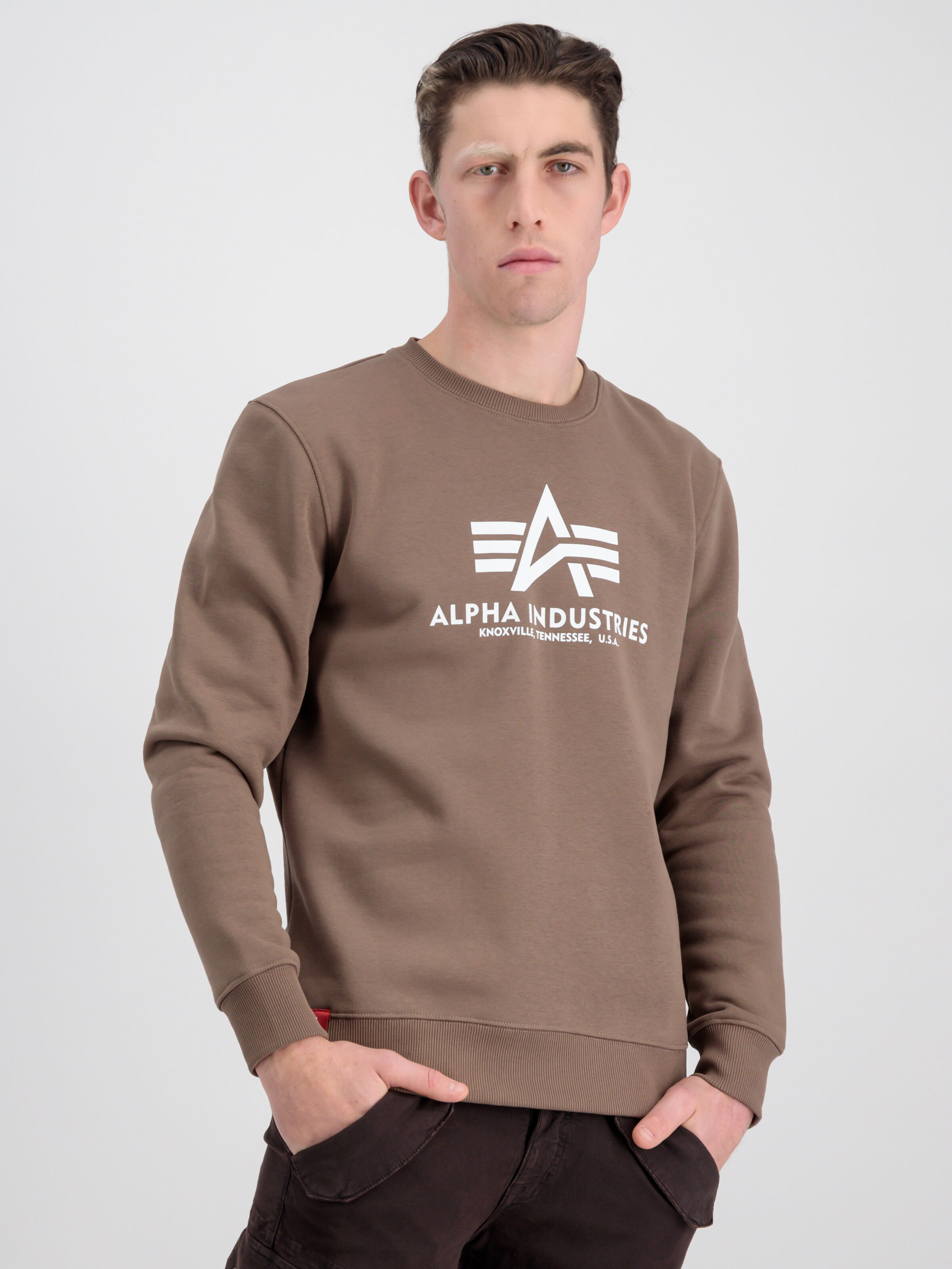 Basic Big Logo Sweatshirt taupe 178302_183_alpha_industries_basic_sweater_001_182759