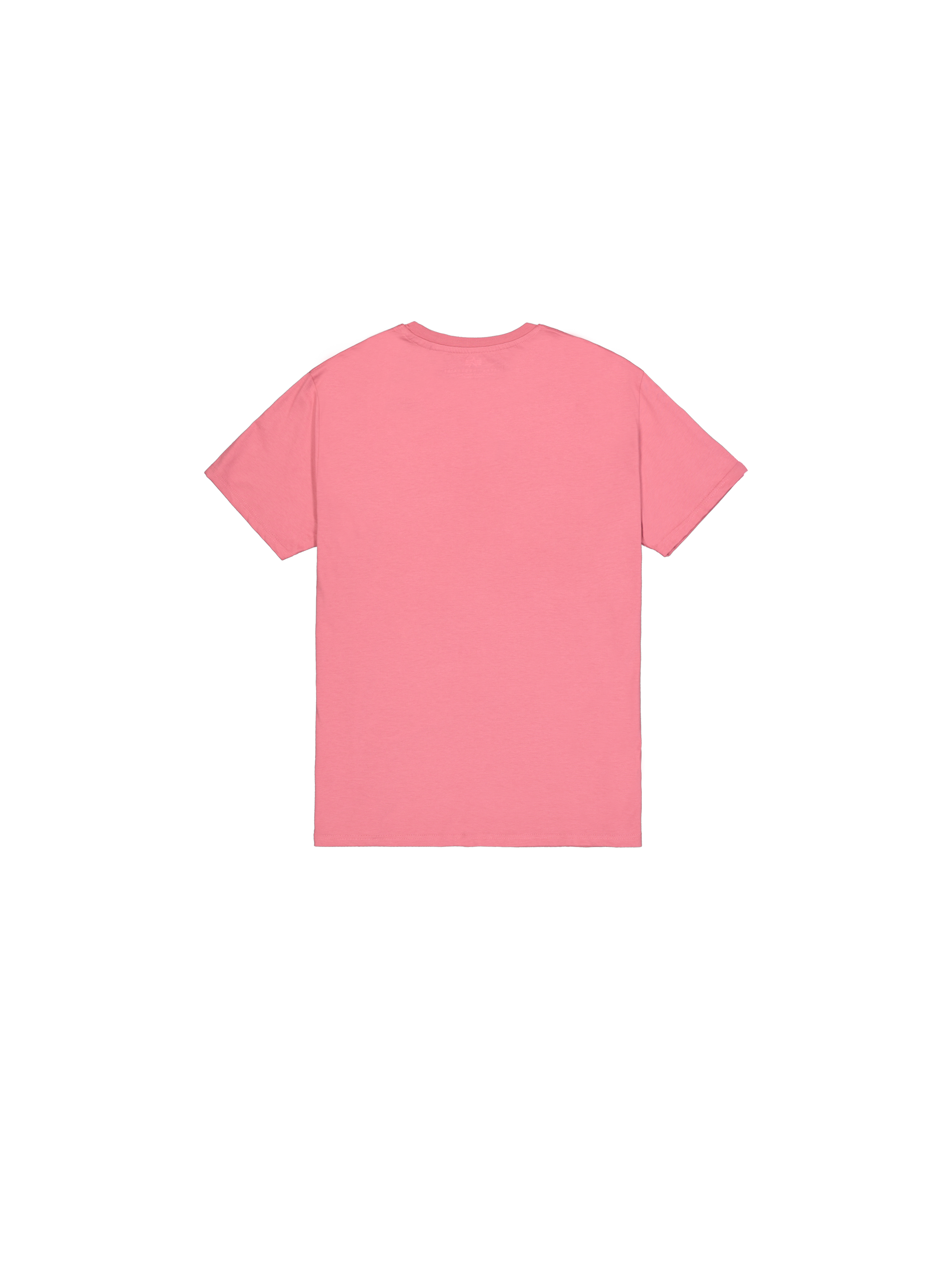 Basic Big Logo T-Shirt coral red 100501_49_1_flatlay_00002_222752