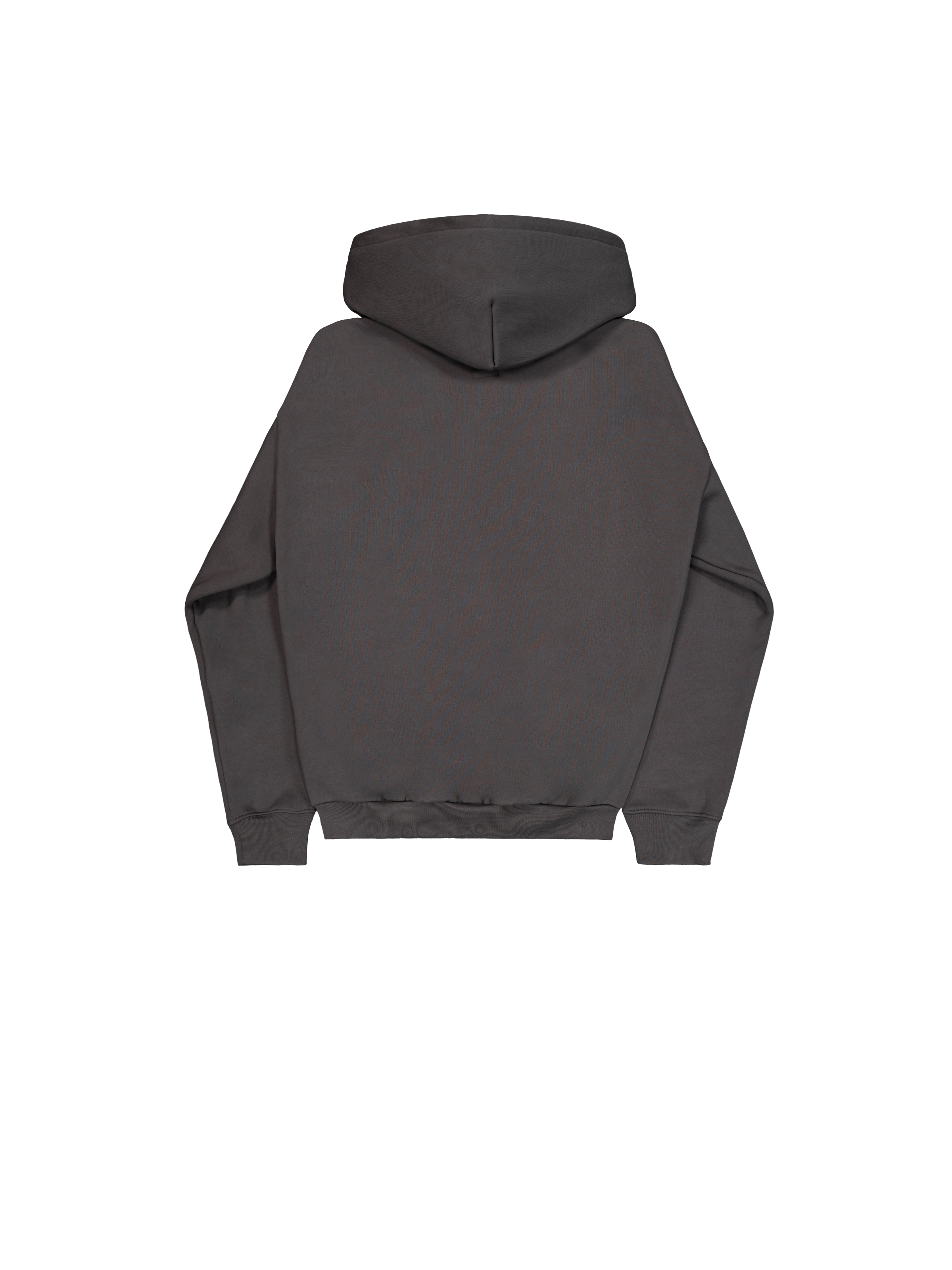 Flock Logo Hoodie vintage grey 146340_684_1_flatlay_00002_221456