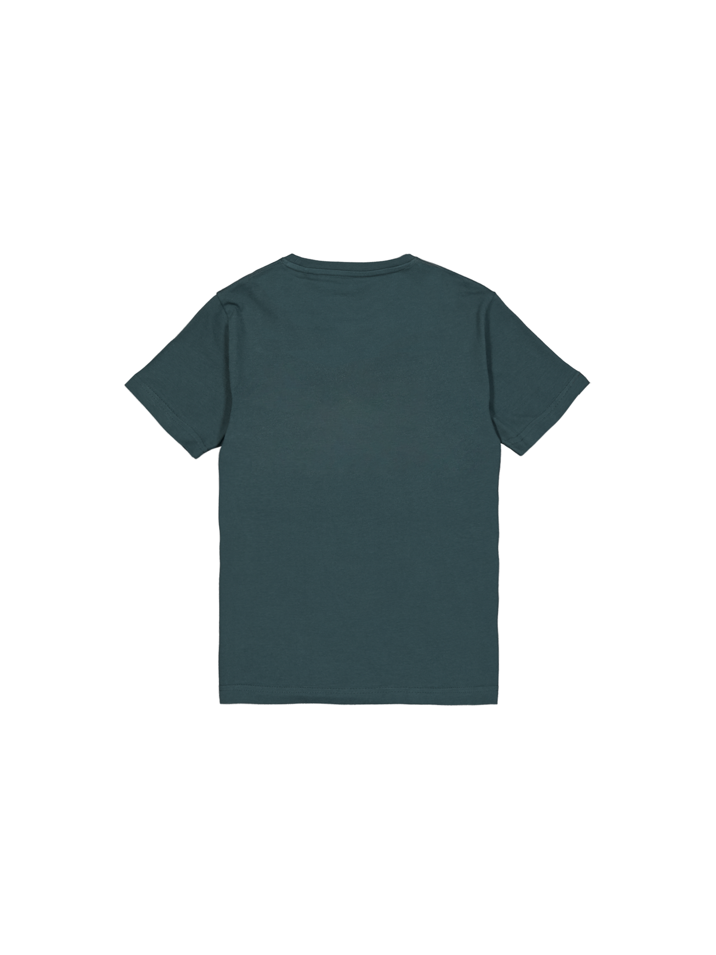 Basic Big Logo T-Shirt Kids Force Green 196703_720_1_flatlay_00002_134240