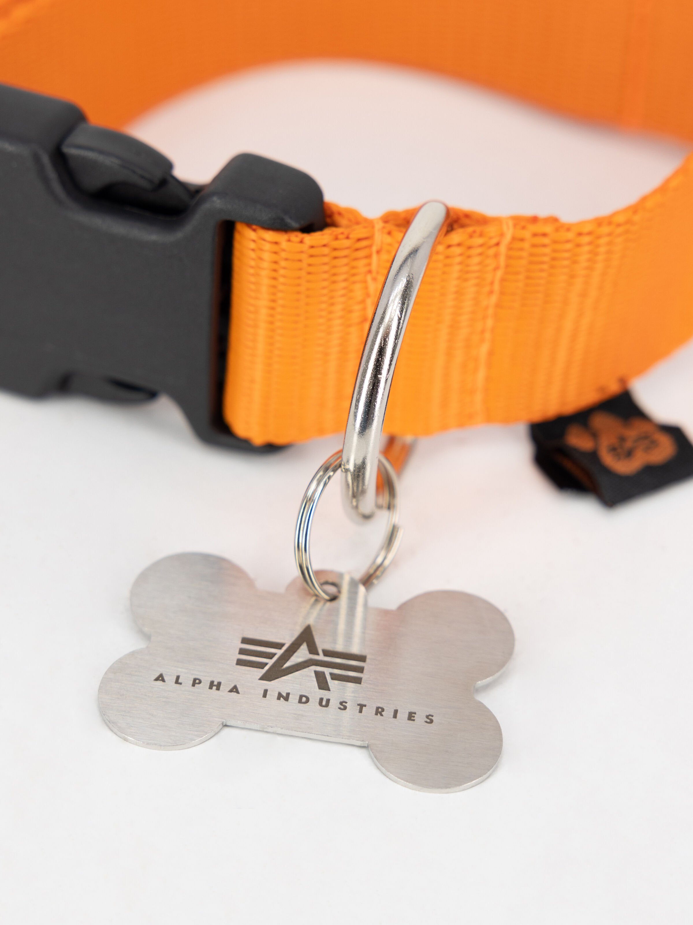 Basic Dog-Tag Collar Alpha orange 116927_429_003_183243