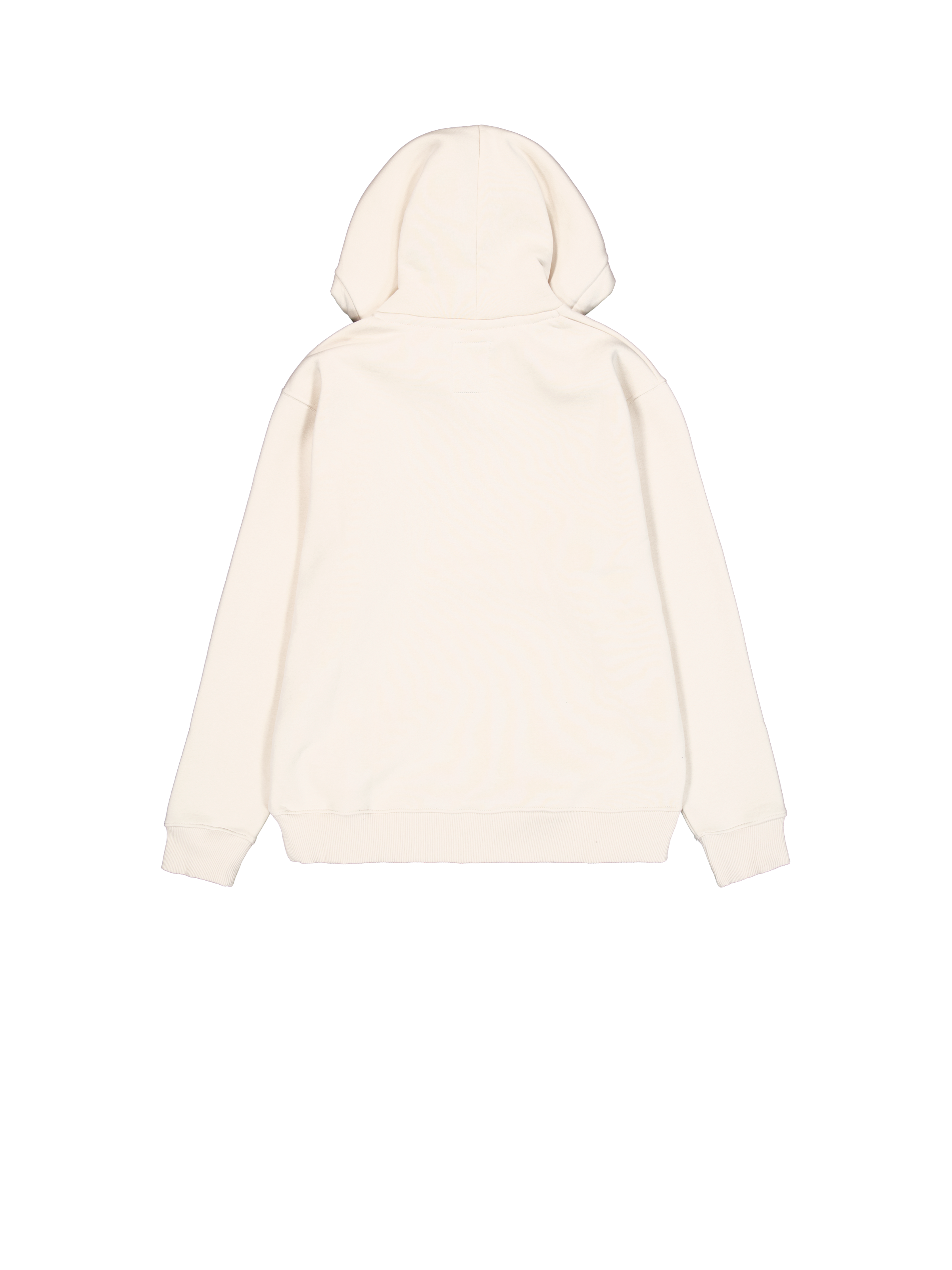 Basic Big Logo Hoodie vintage white 178312_300_1_flatlay_00002_117951