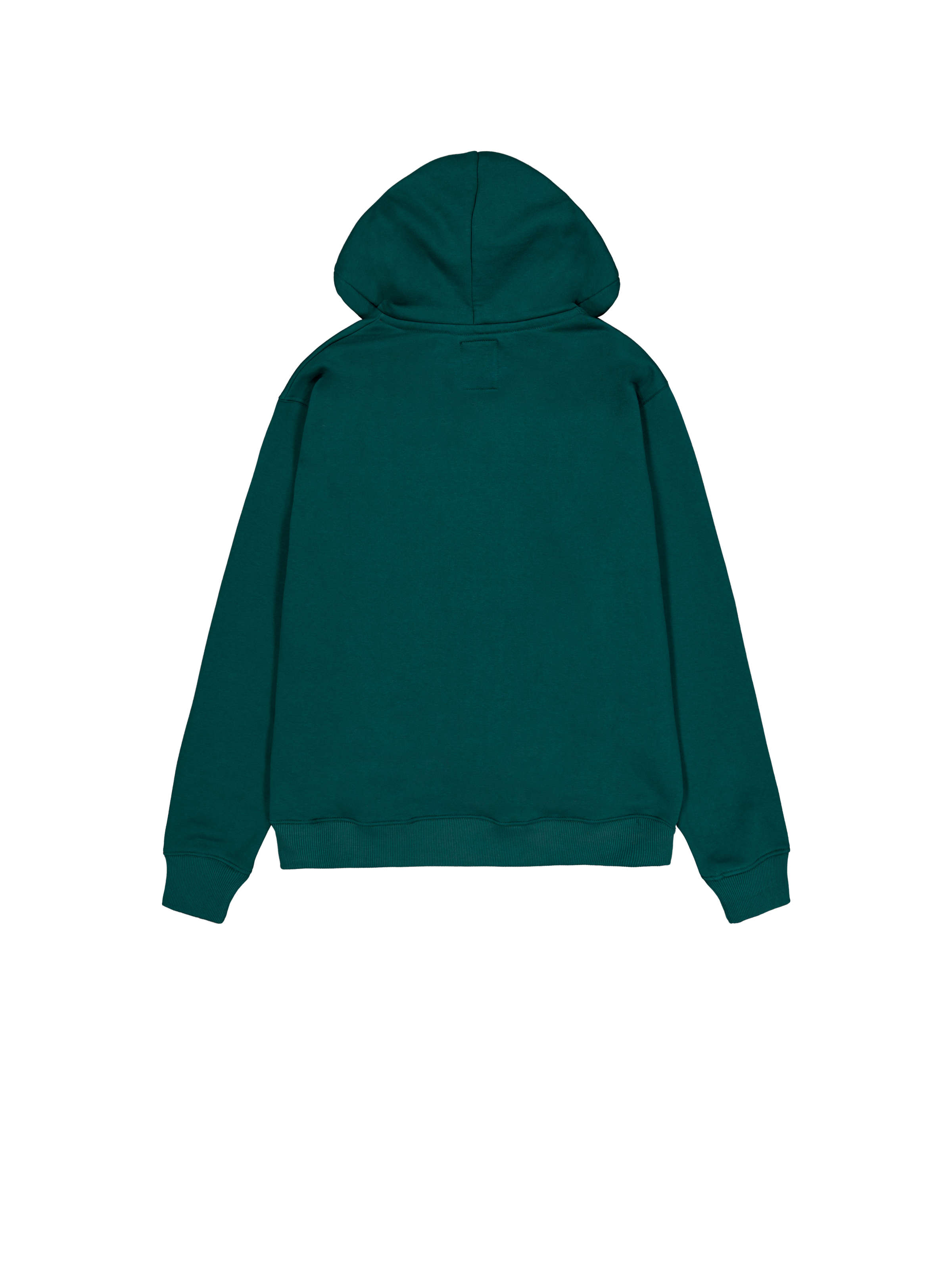 Basic Small Logo Zip Hoodie Force Green 118342_720_1_flatlay_00002_97245
