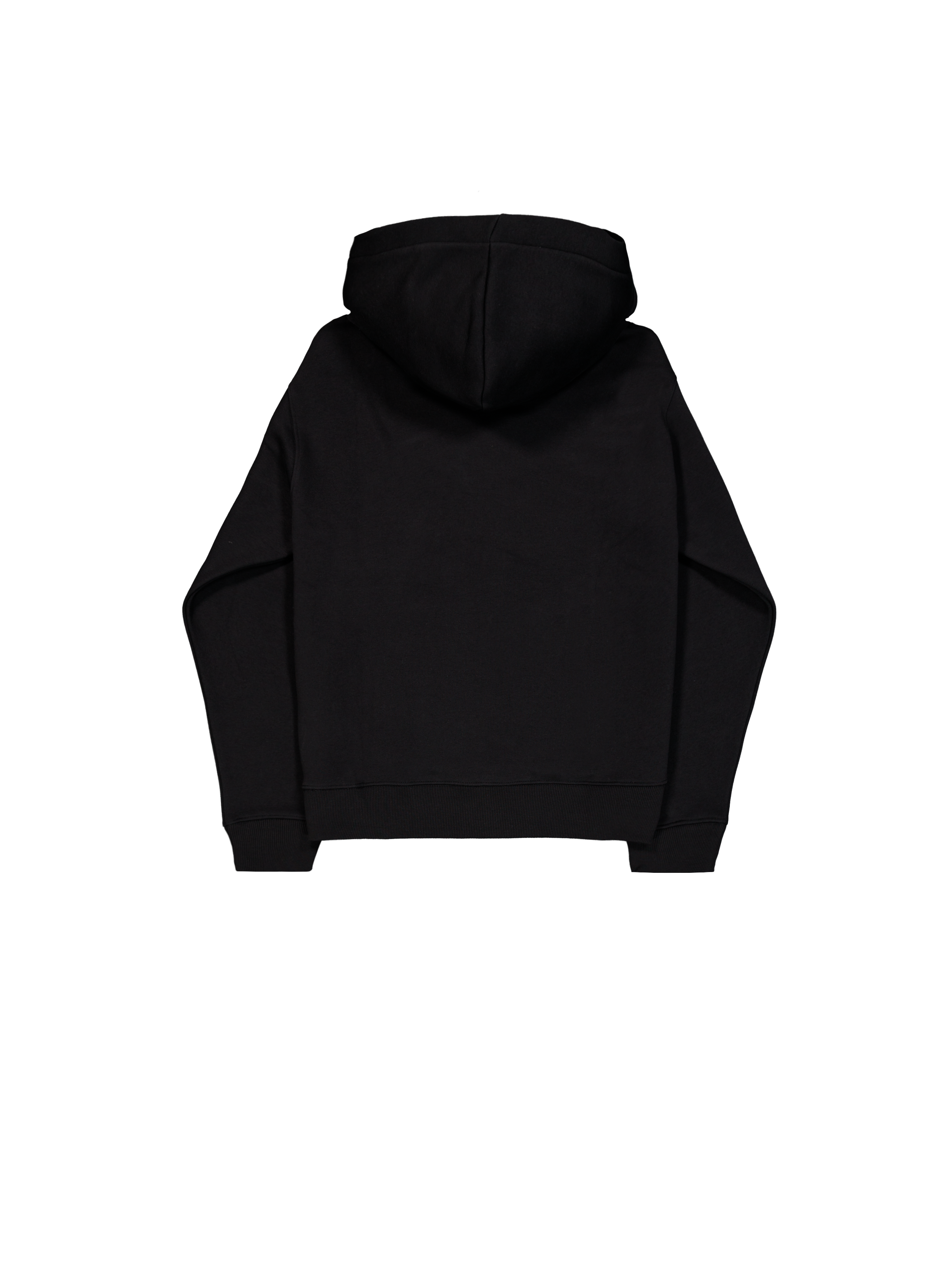 Basic Small Logo TPU Hoodie black/chrome 148347_373_1_flatlay_00002_102223