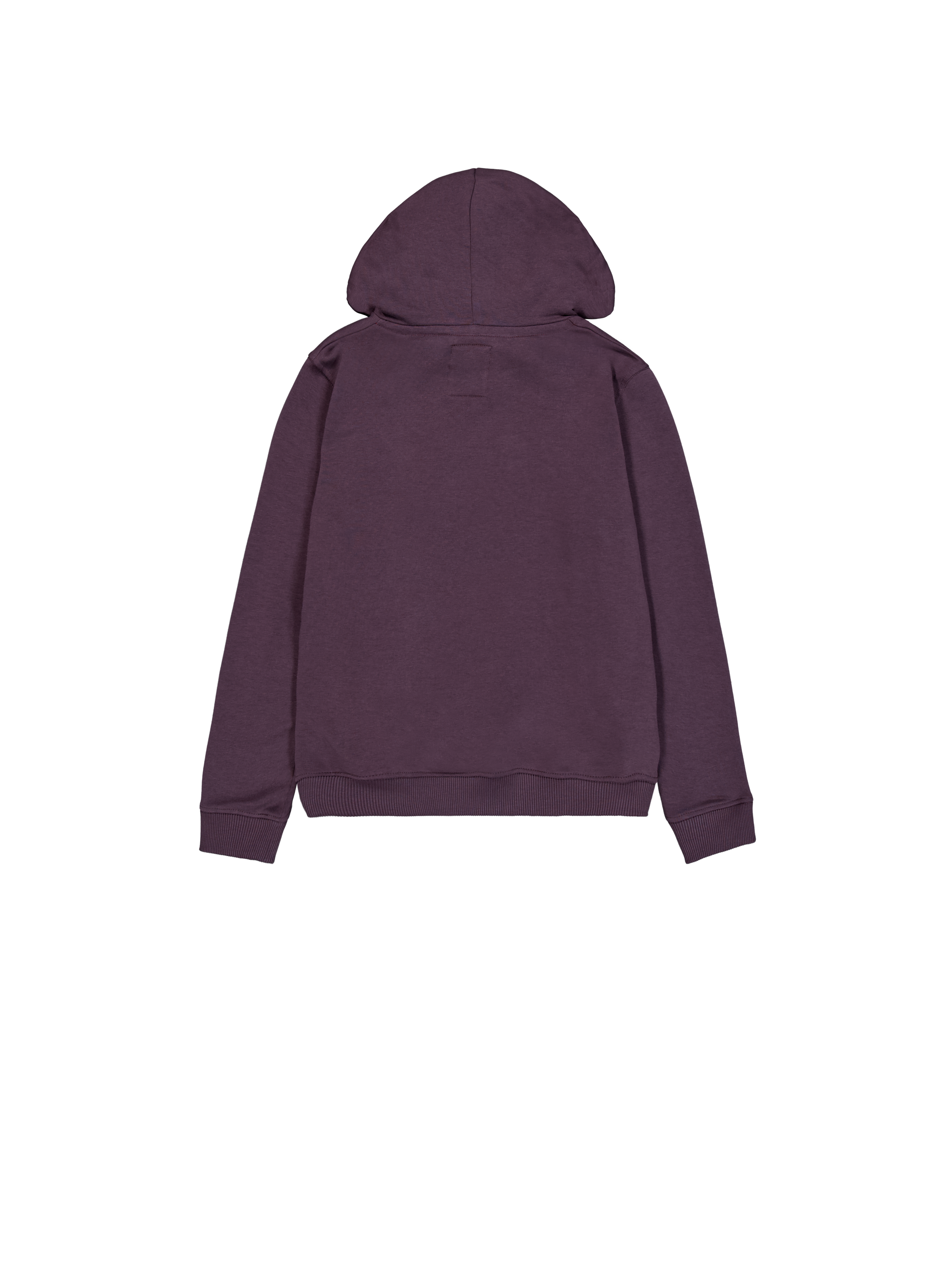 New Basic Big Logo Hoodie Women Plum 196032_719_1_flatlay_00002_97007
