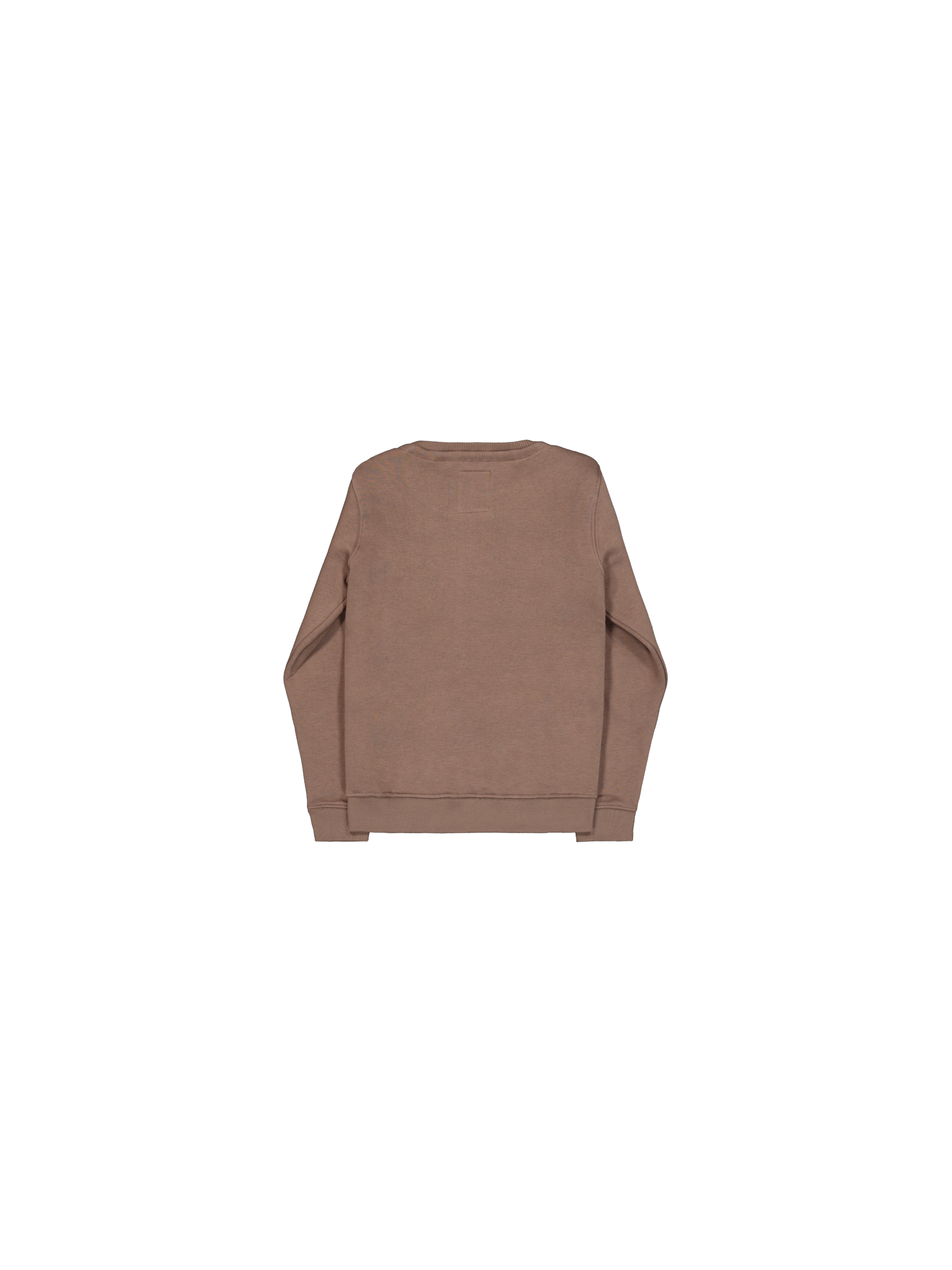 Basic Big Logo Sweatshirt Kids taupe 198703_183_1_flatlay_00002_126713
